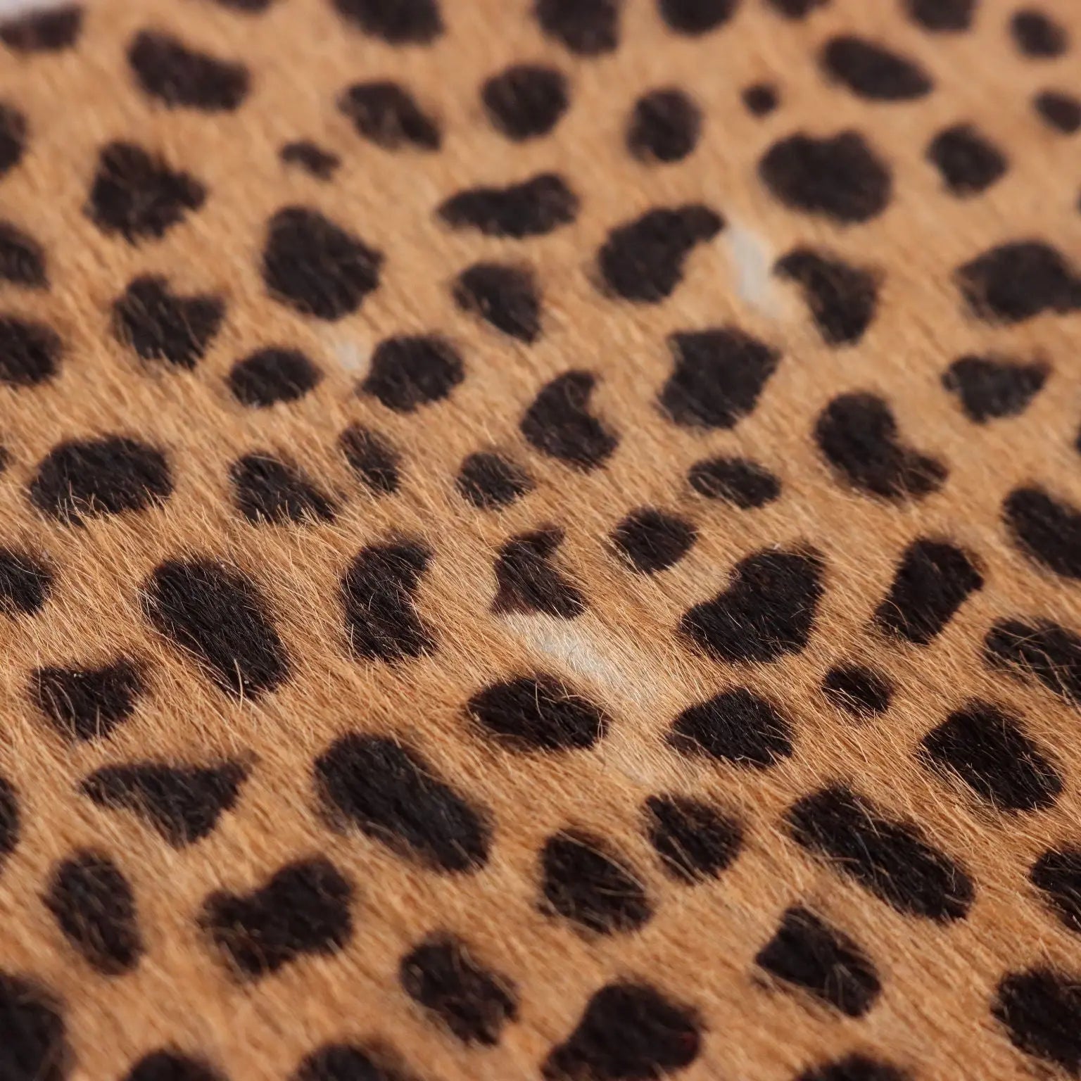 Paciotti Handbag Animalier Second Hand Italy - Animalier | Clothing & House Linens | Second hand