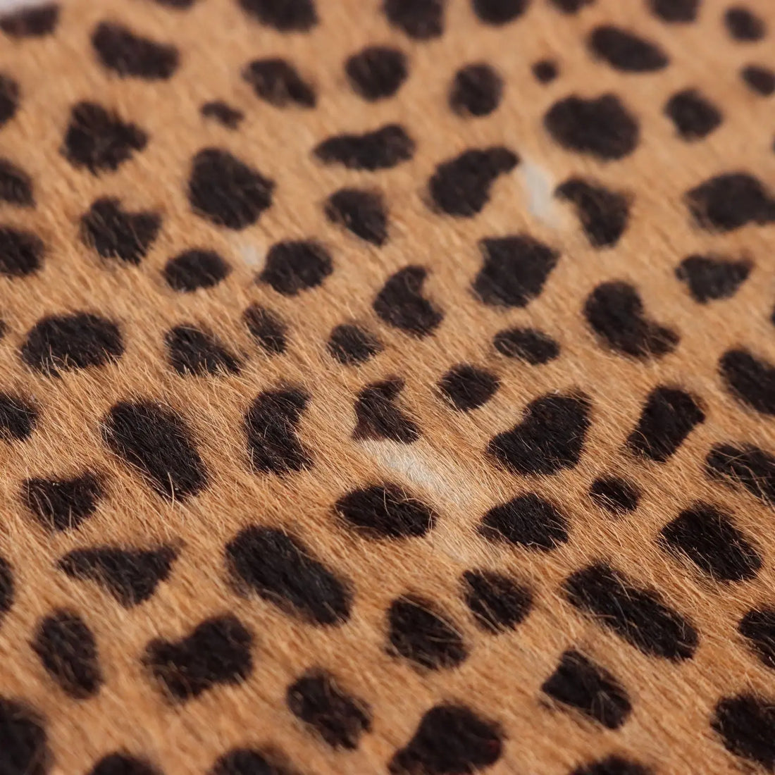 Paciotti Handbag Animalier Second Hand Italy - Animalier | Clothing & House Linens | Second hand