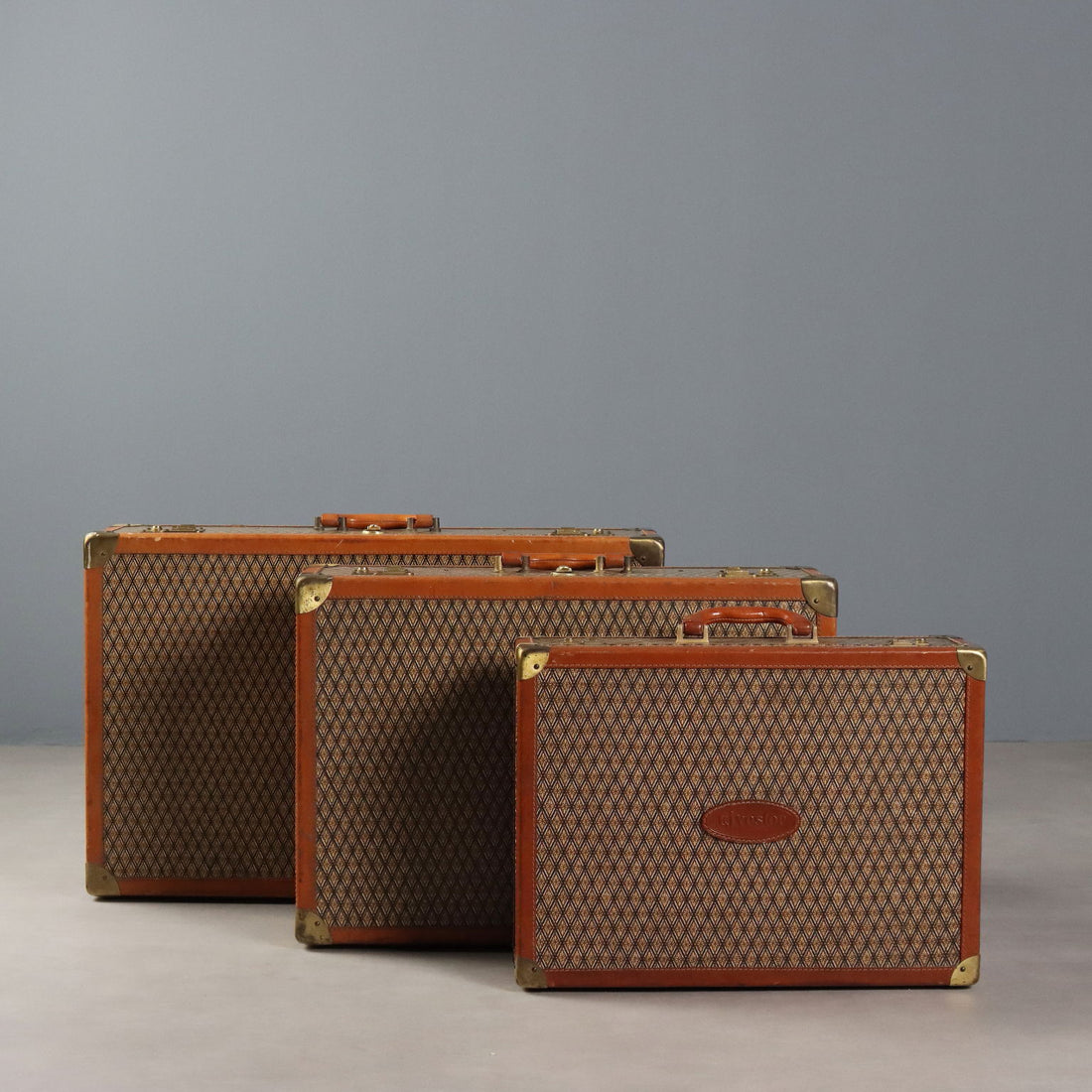 T&J Vestor Set Suitcases Vintage Leather Canvas Various Dimensions