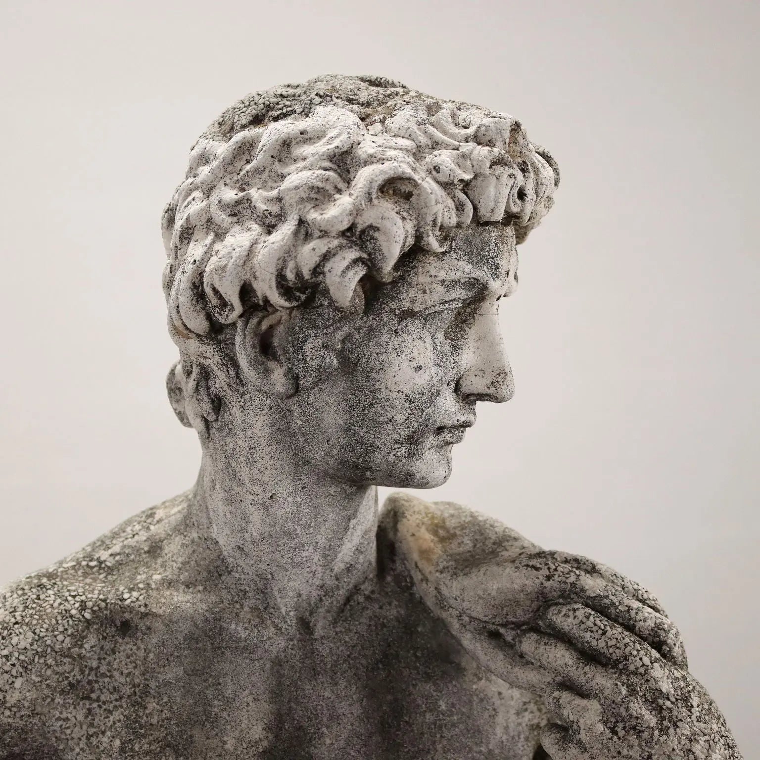 Michelangelo's David Statue in Graniglia - Garden