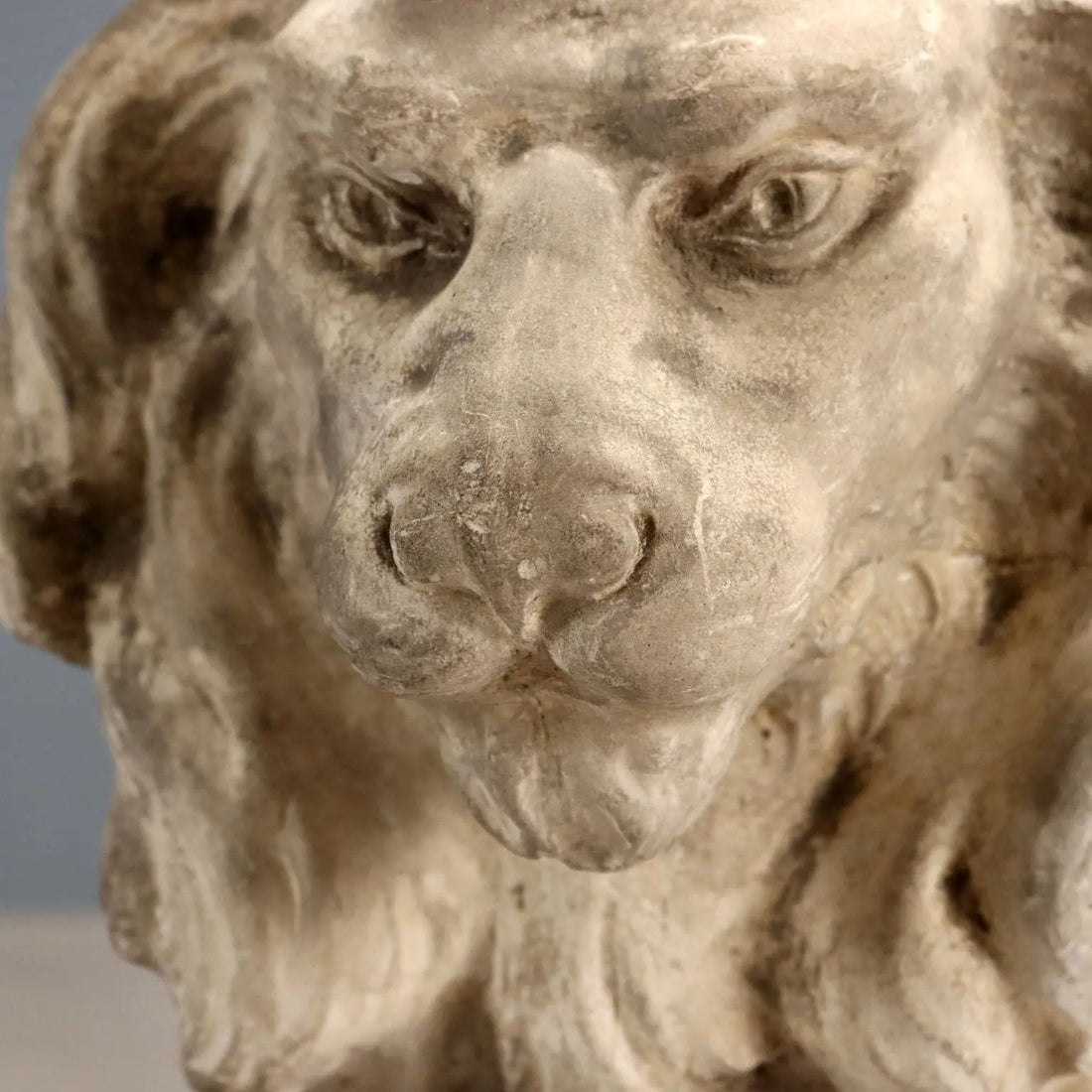 Antique Sculpture Plaster Lion Italy XIX Century Original - Italy, XIX Century | Antiques | Stones Irons & Garden Furnishings
