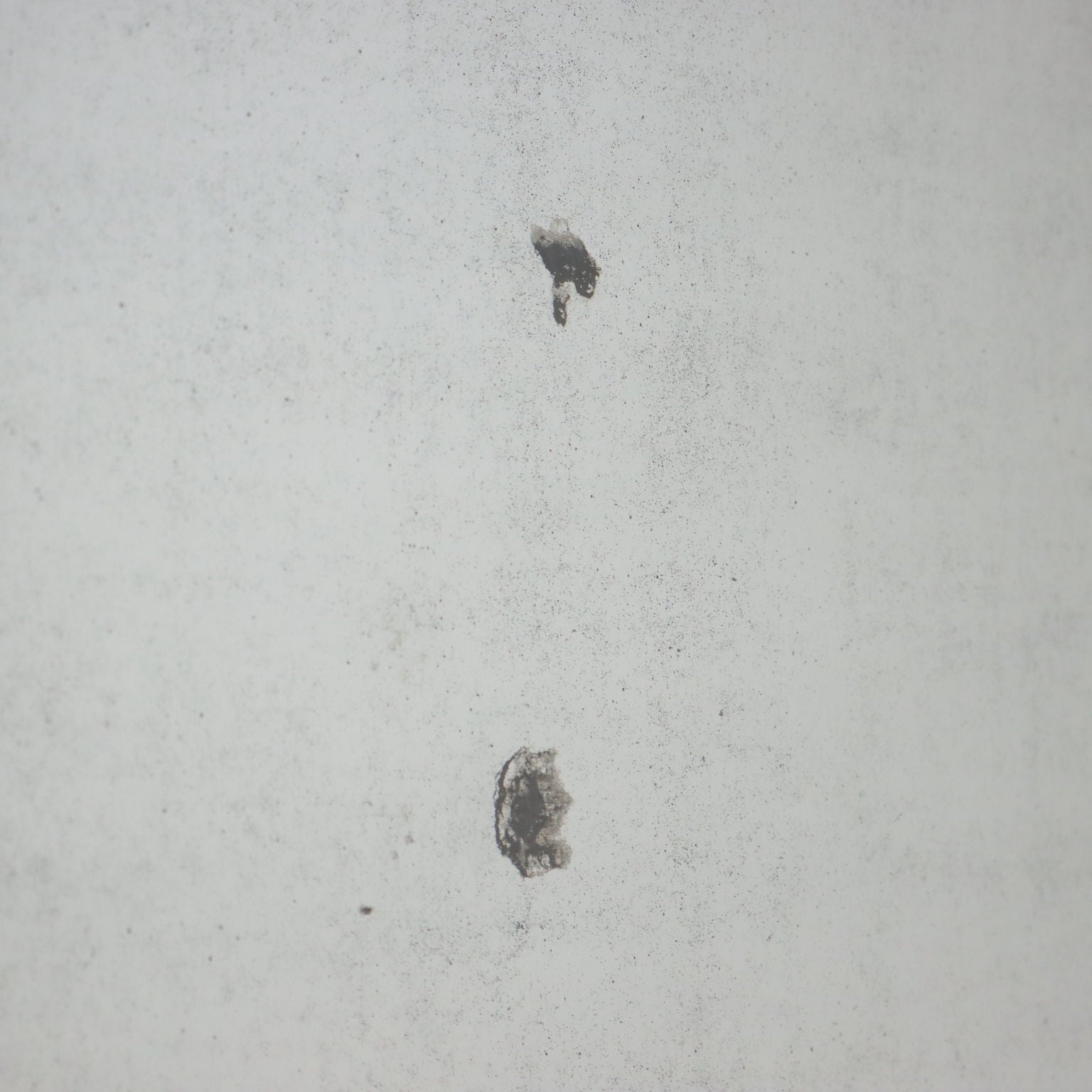  | Antiques  Mirrors & Frames