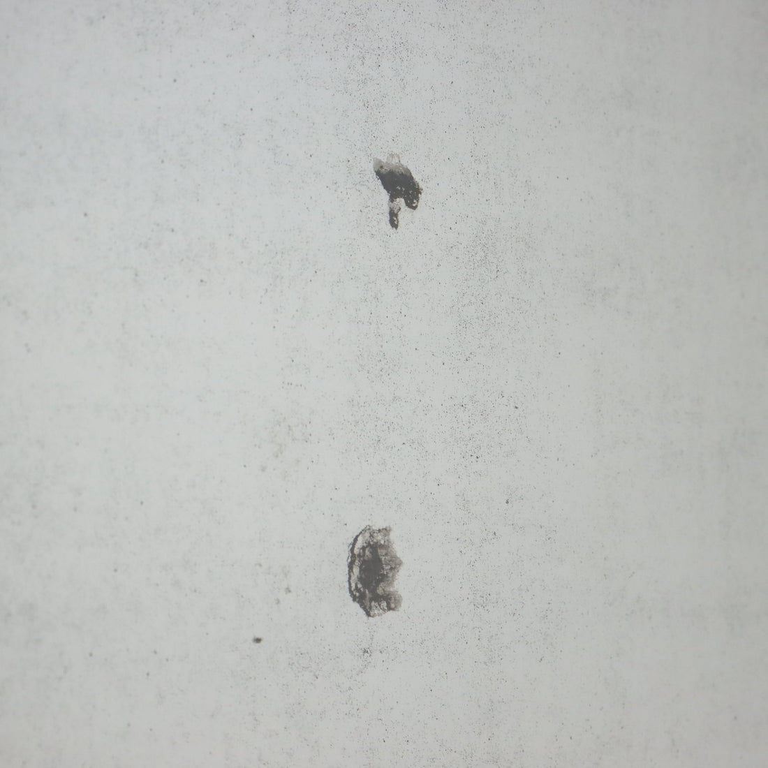  | Antiques  Mirrors & Frames