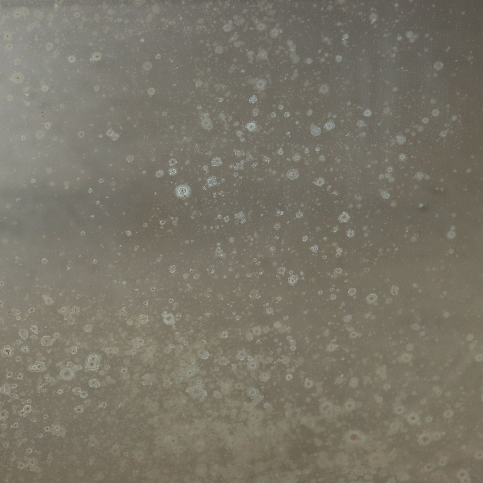  | Antiques  Mirrors & Frames