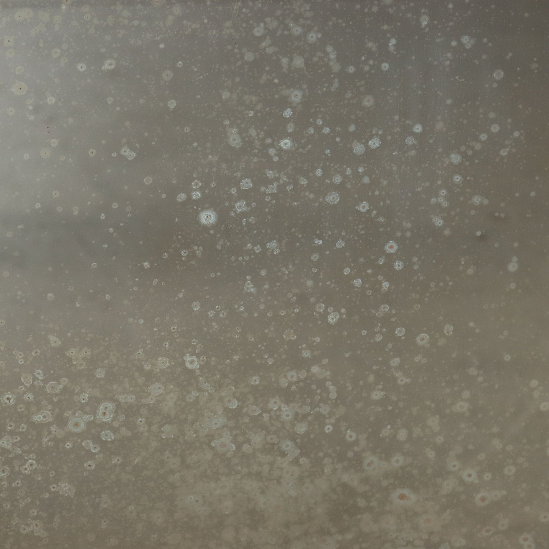  | Antiques  Mirrors & Frames