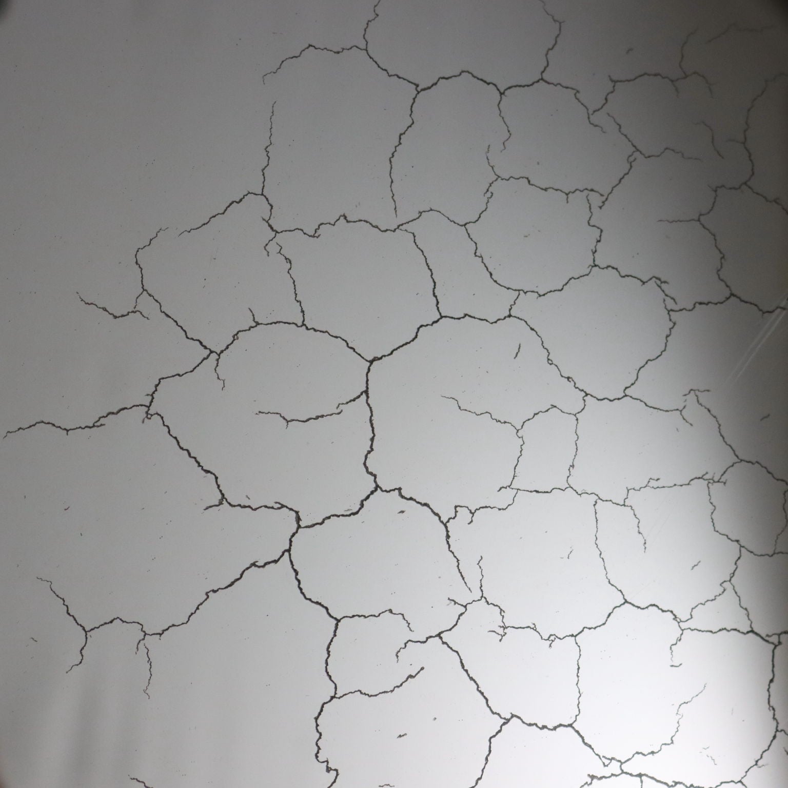  | Antiques  Mirrors & Frames