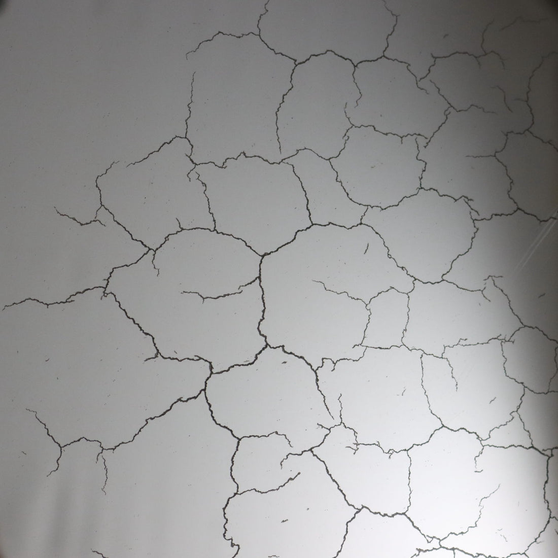  | Antiques  Mirrors & Frames