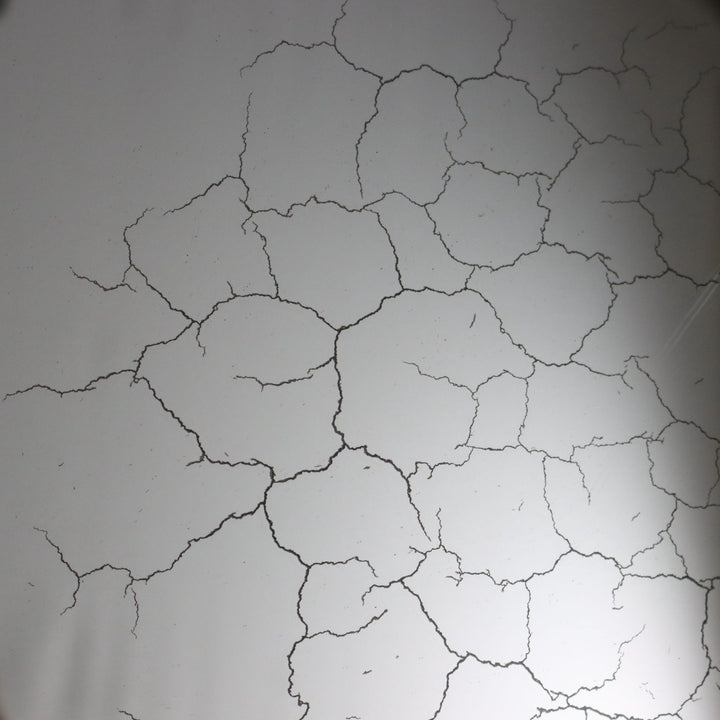  | Antiques  Mirrors & Frames