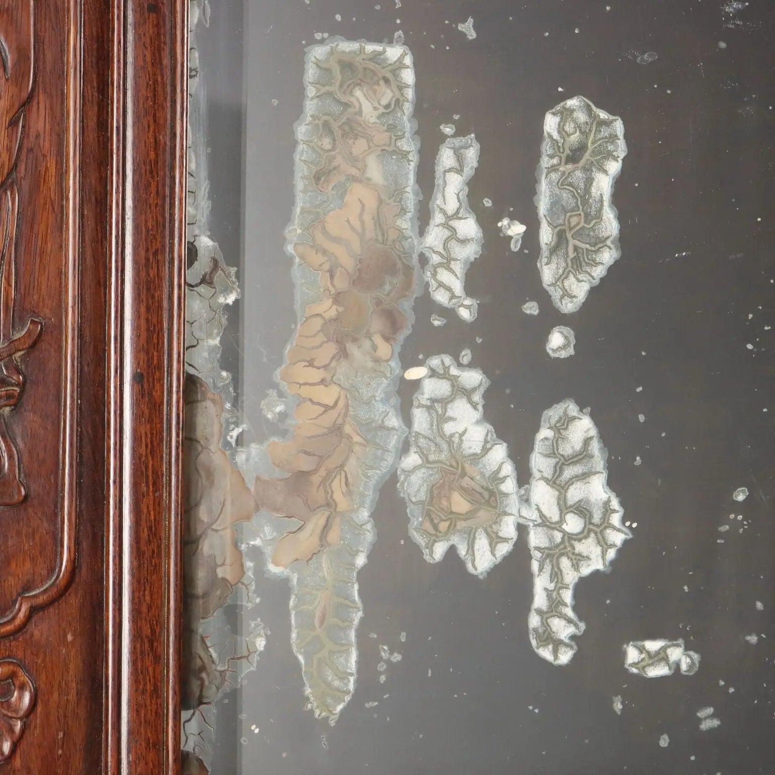 Antique Mirror Exotic Wood Chinoiserie Carvings XIX Century