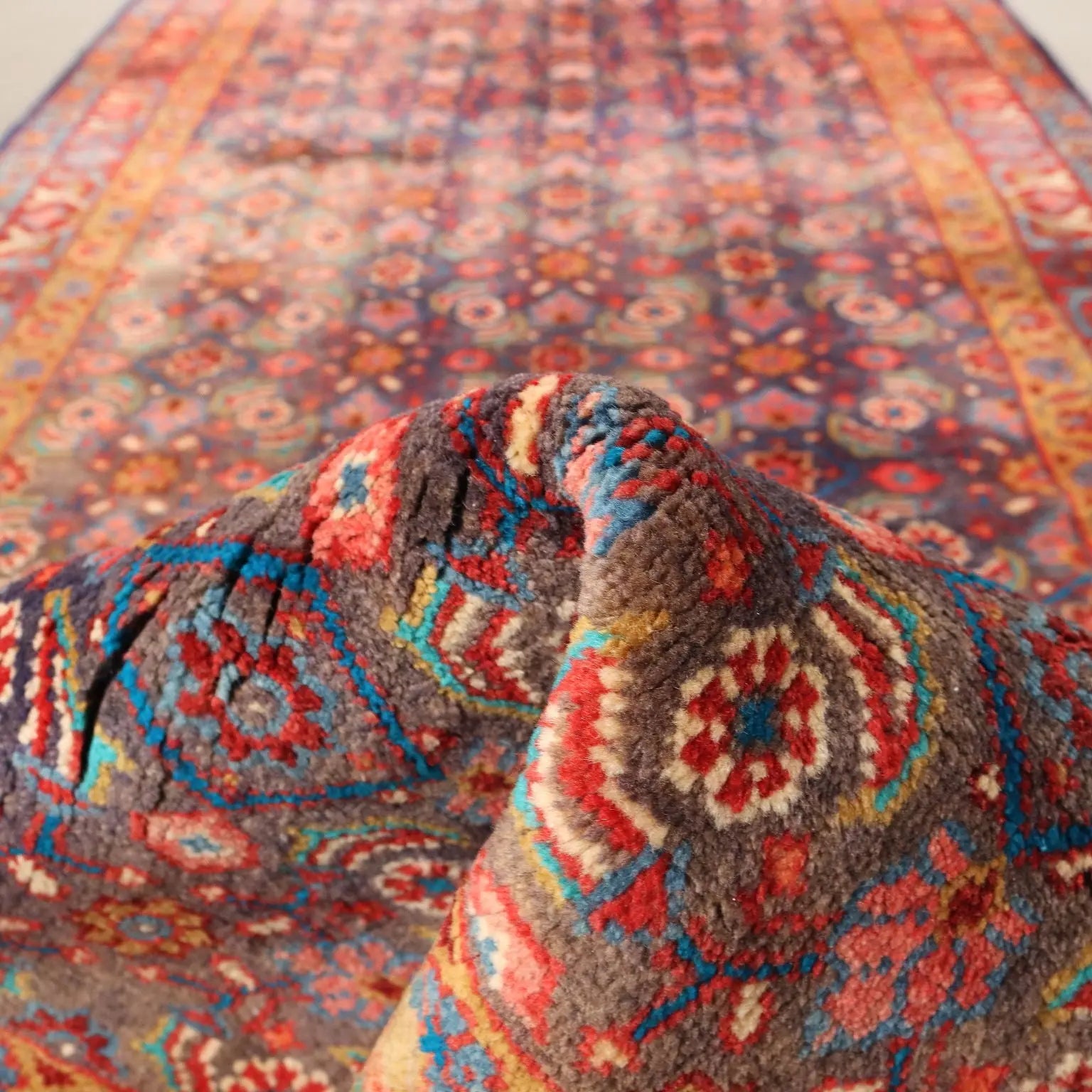  Bidjar Rug in Cotton and Wool