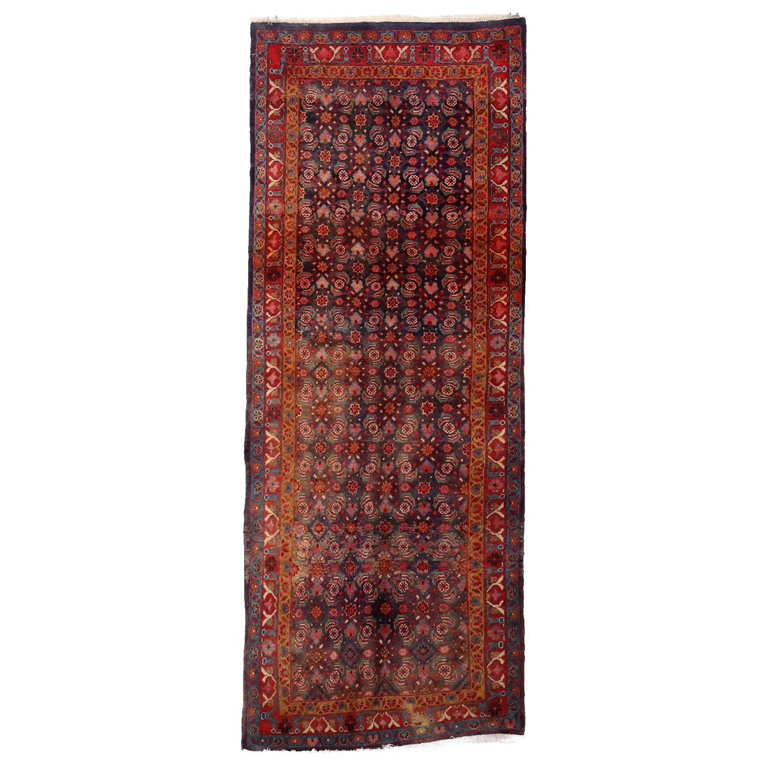  Bidjar Rug in Cotton and Wool
