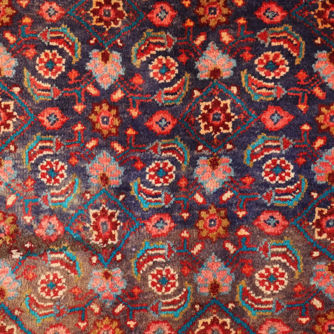  Bidjar Rug in Cotton and Wool