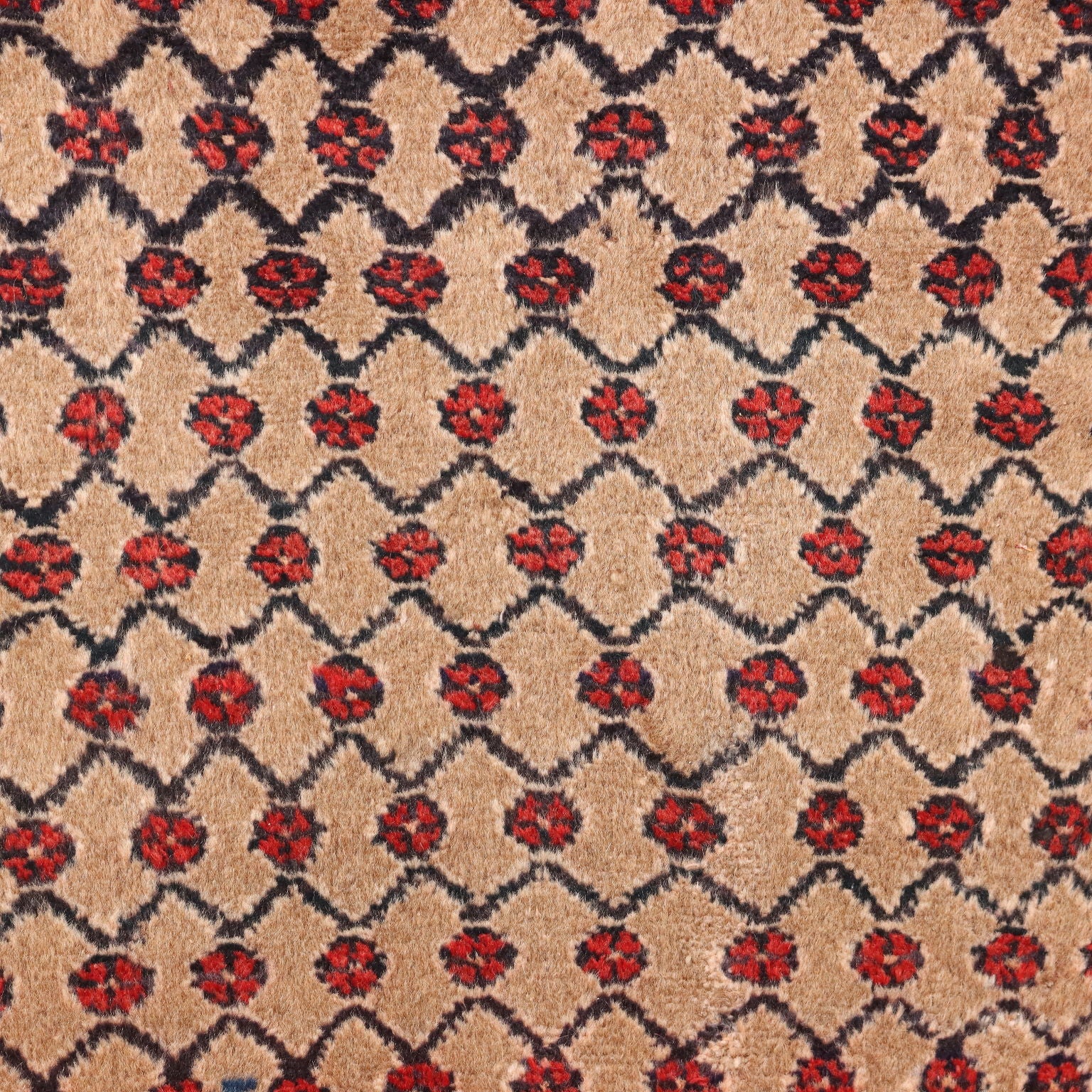  | Antiques  Carpets