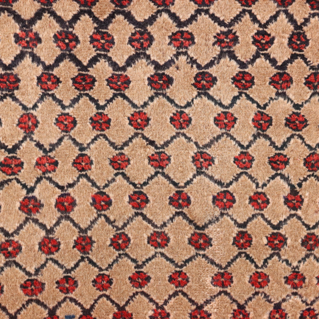  | Antiques  Carpets