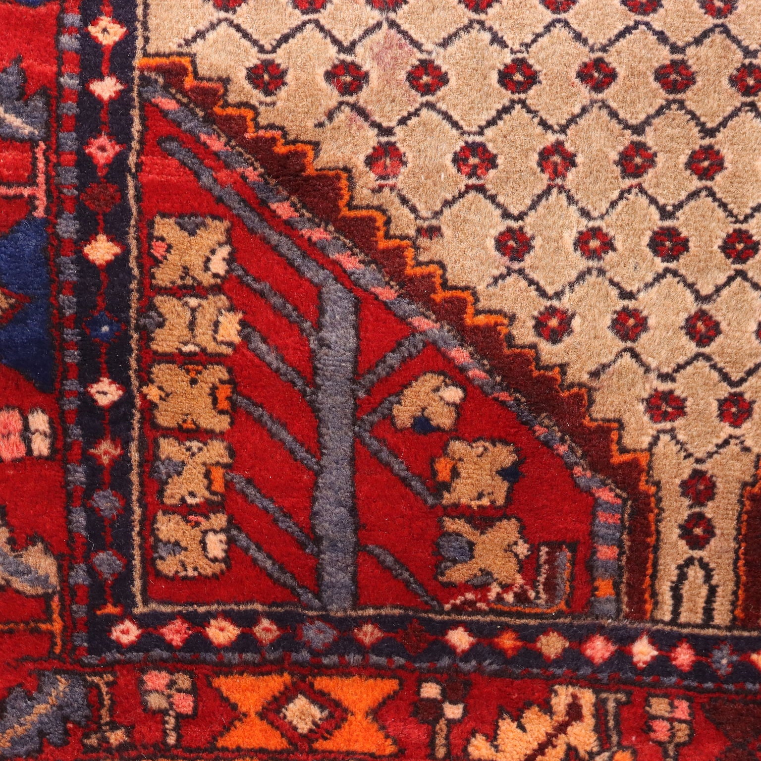  | Antiques  Carpets