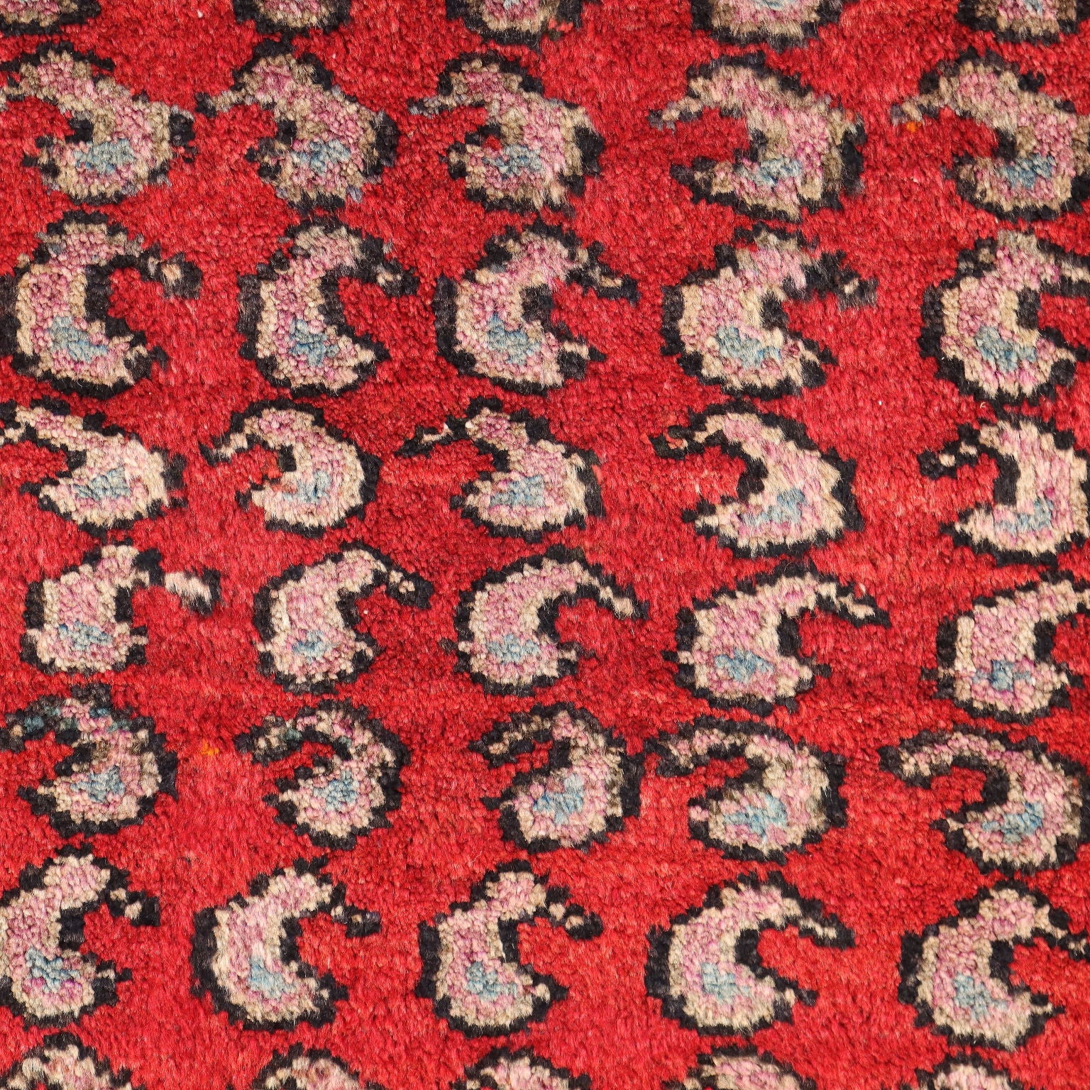 | Antiques  Carpets