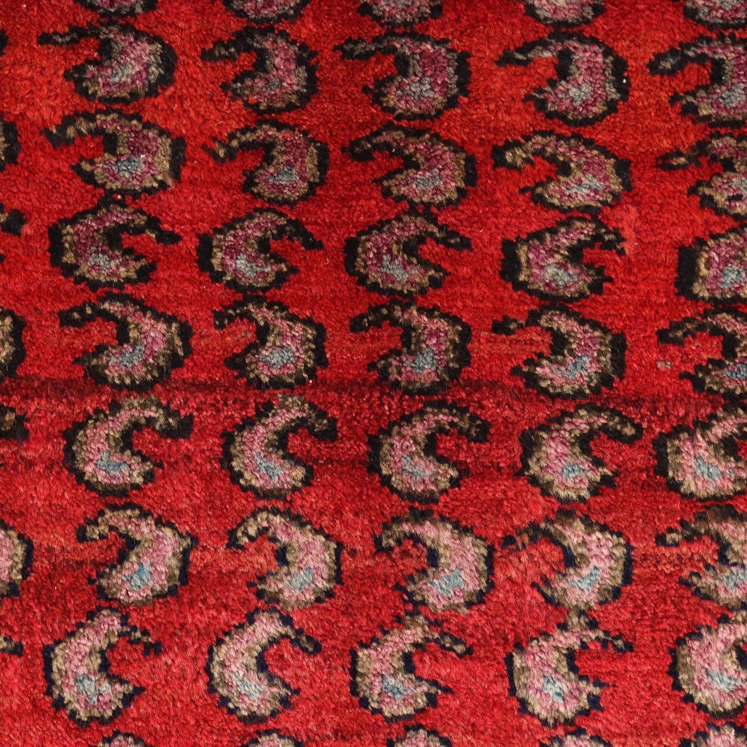  | Antiques  Carpets