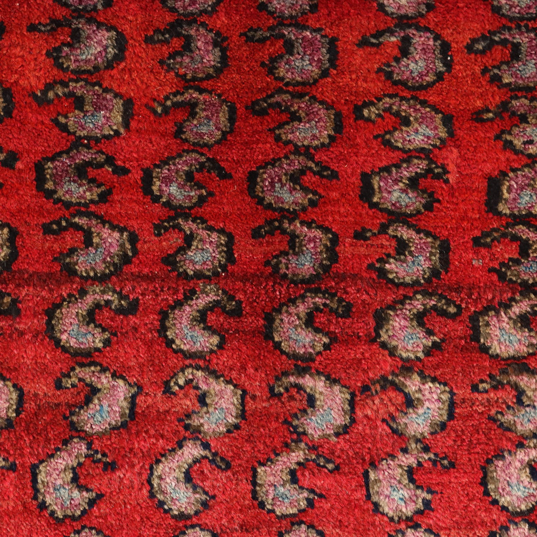  | Antiques  Carpets