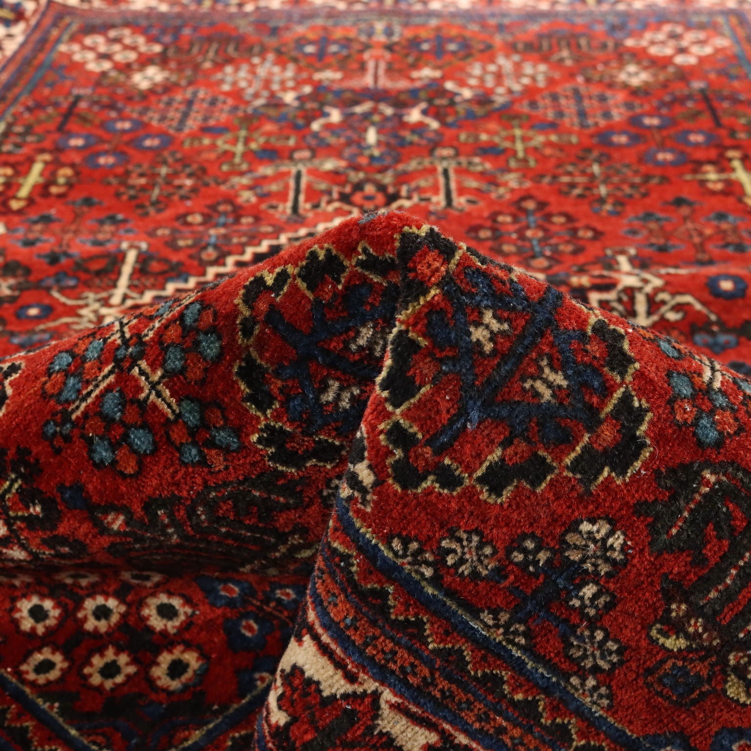 | Antiques  Carpets