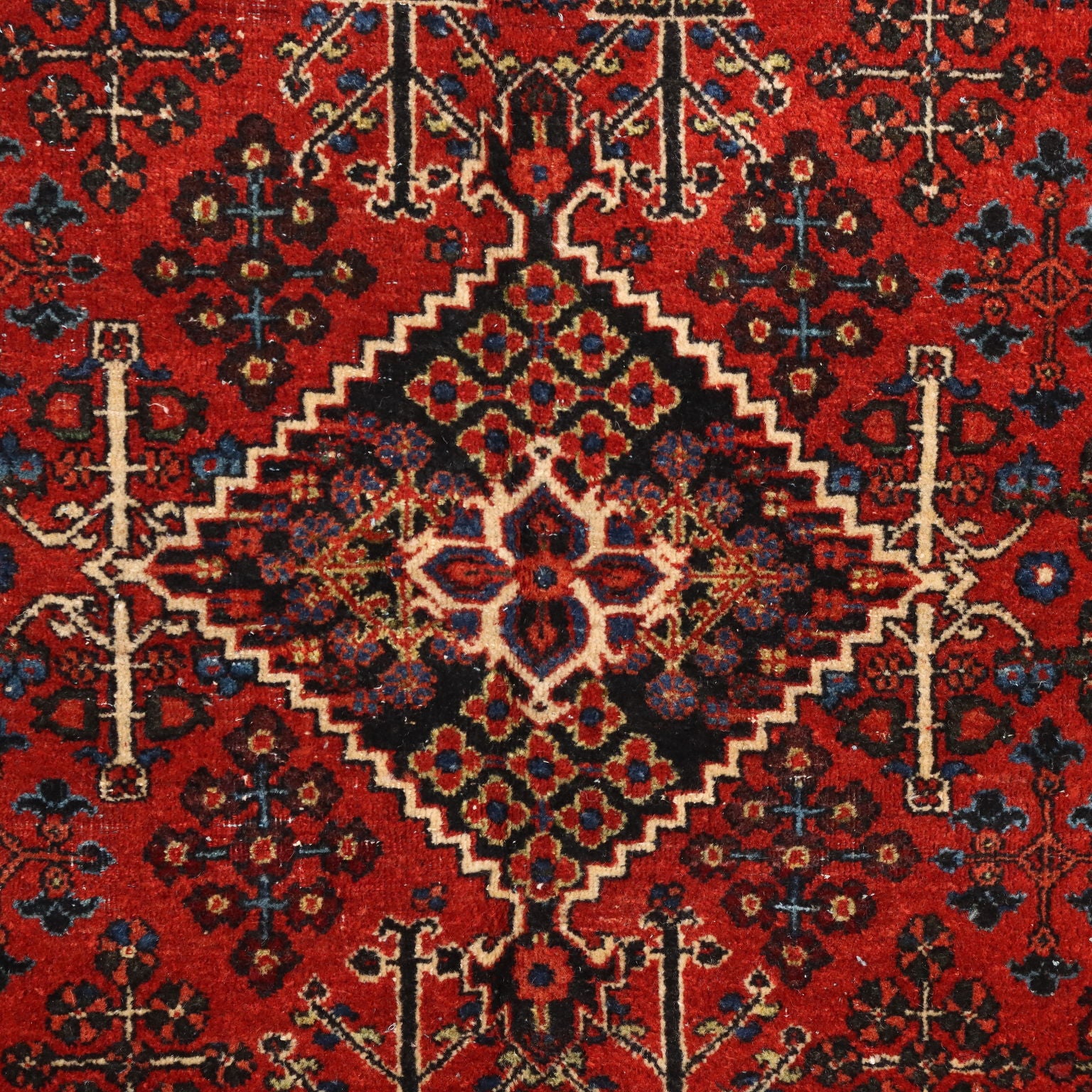  | Antiques  Carpets