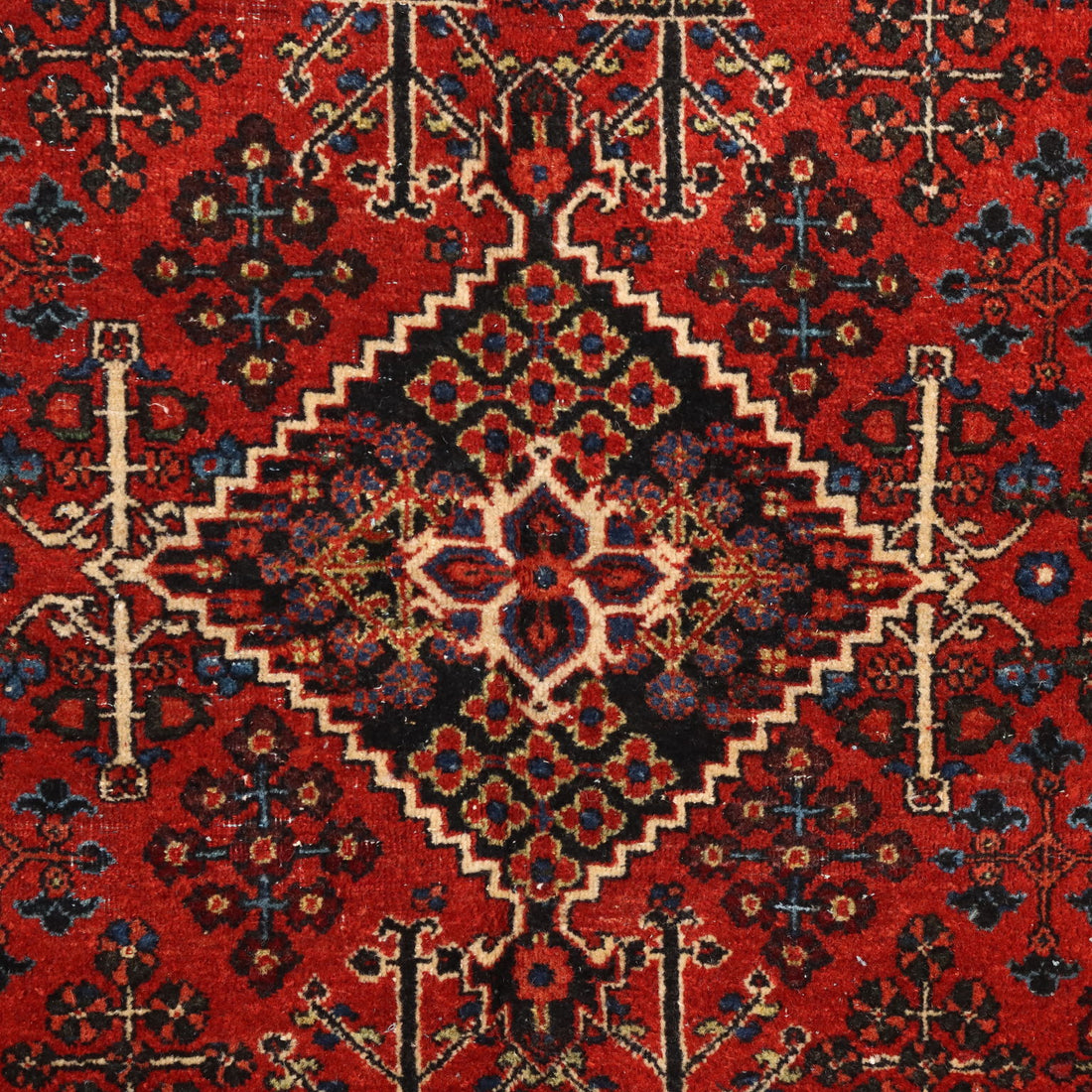  | Antiques  Carpets