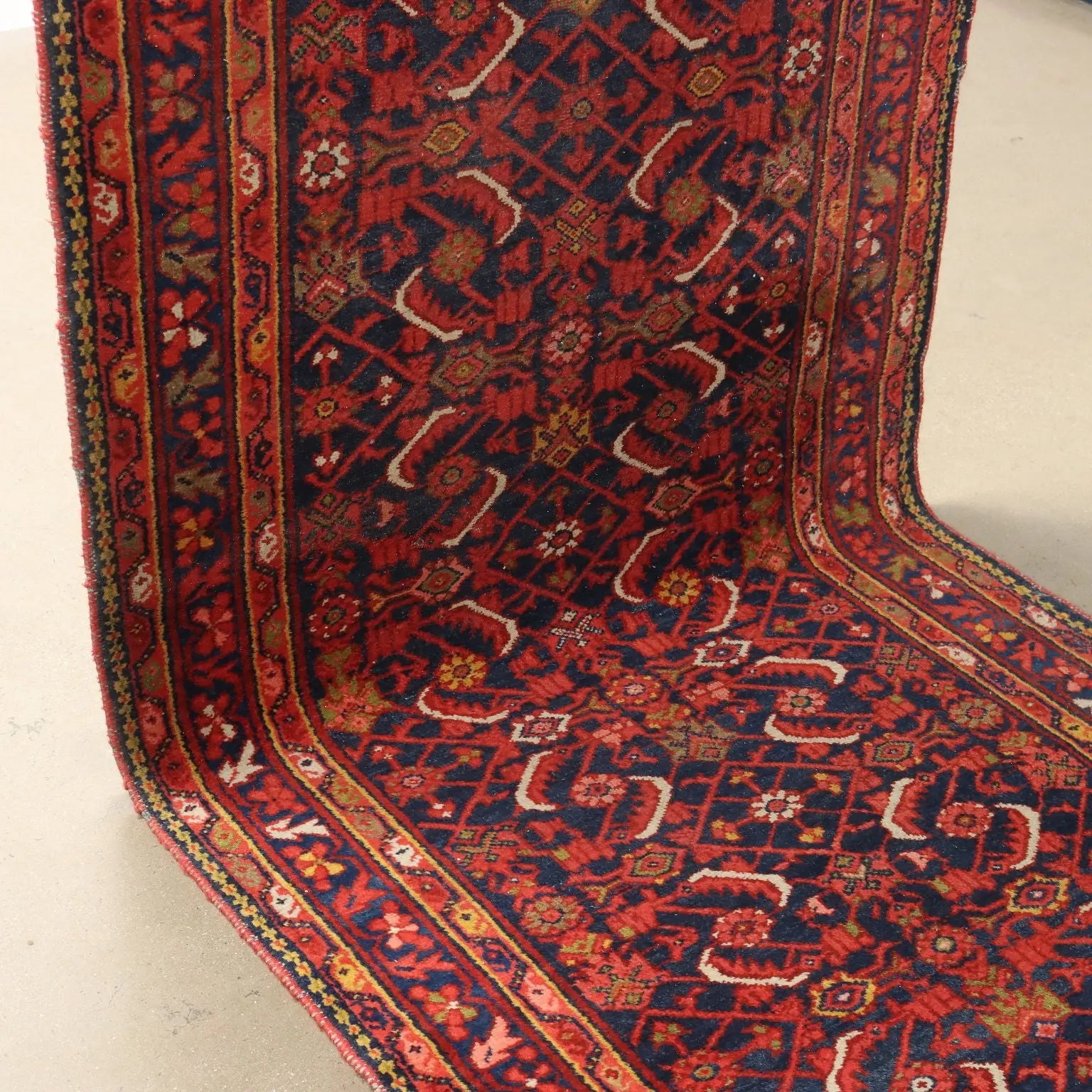 Malayer Rug in Cotton and Wool - 