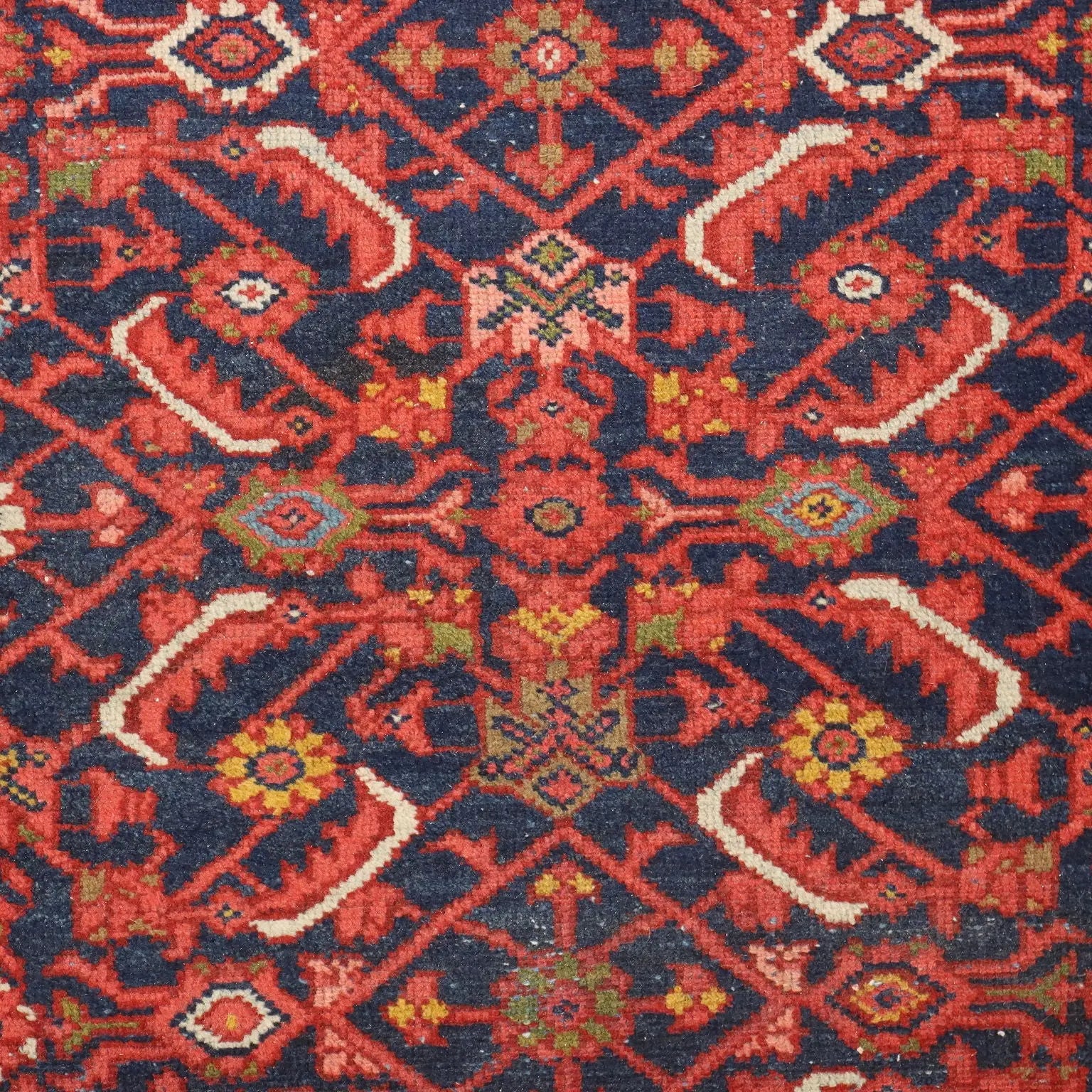 Malayer Rug in Cotton and Wool - 