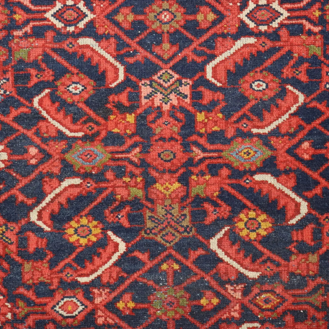 Malayer Rug in Cotton and Wool - 