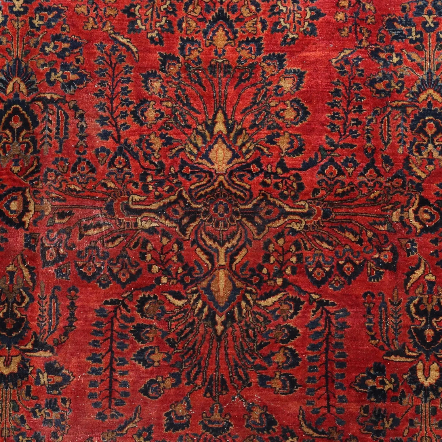 American Saruk Rug in Cotton and Wool - 360x262 cm