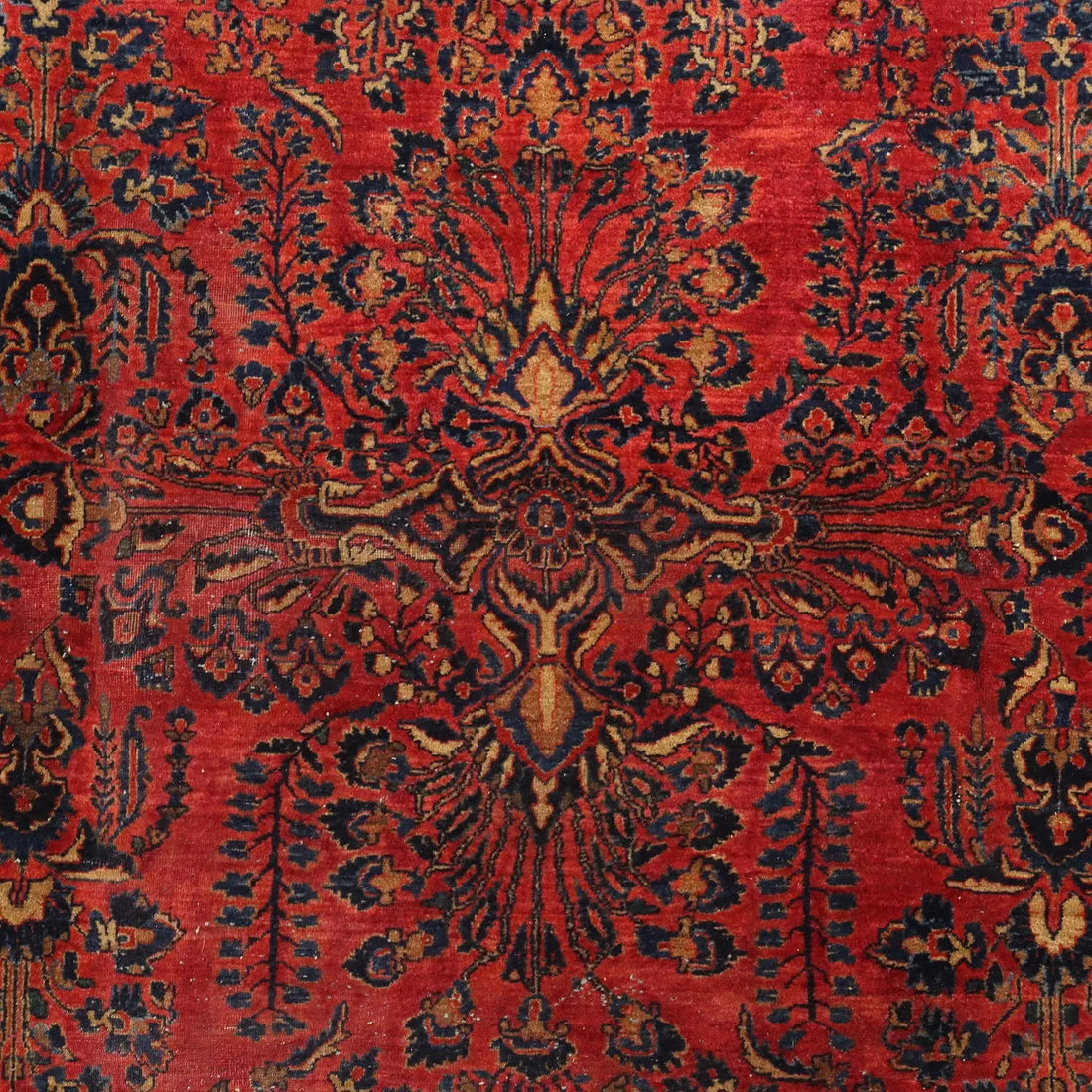 American Saruk Rug in Cotton and Wool - 360x262 cm