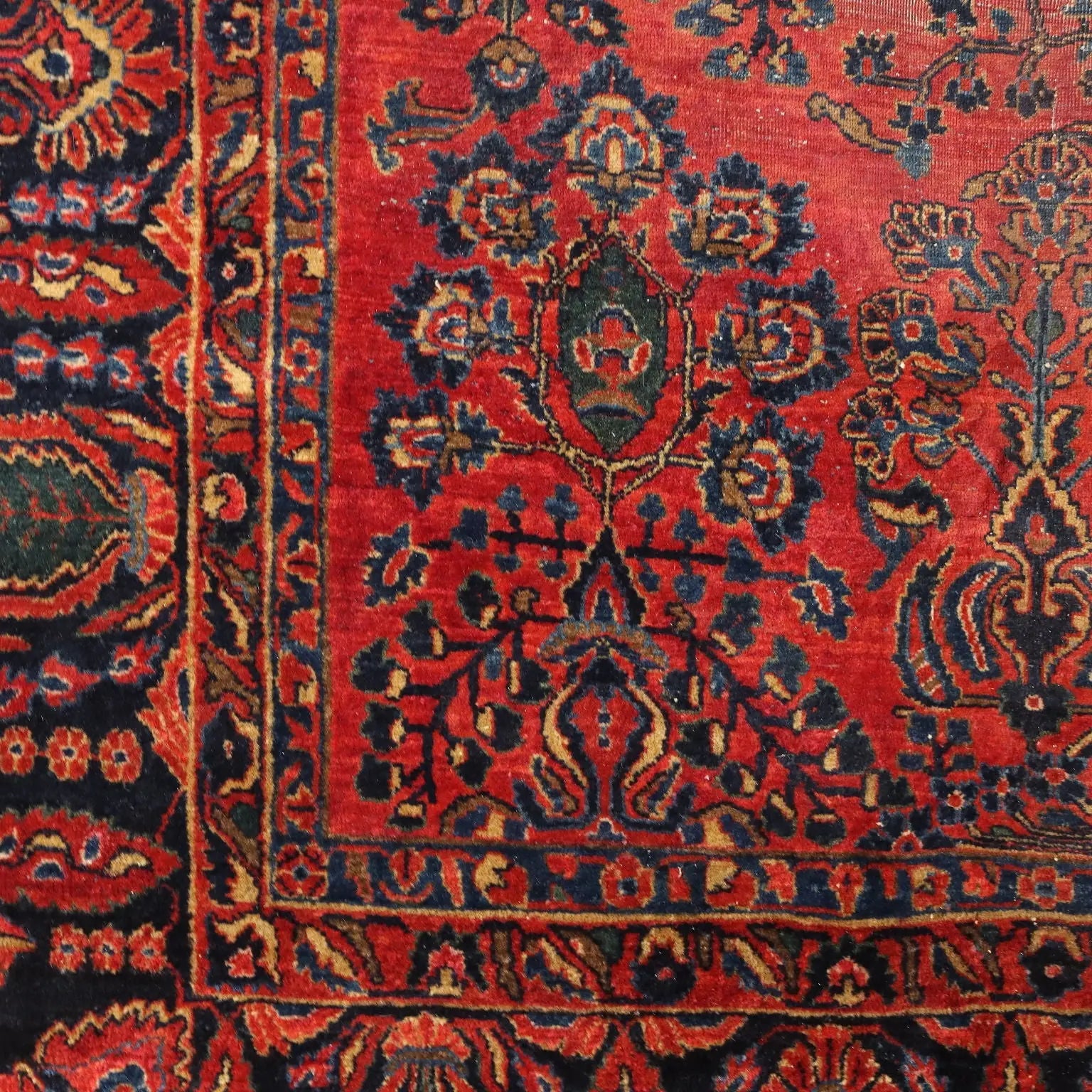 American Saruk Rug in Cotton and Wool - 360x262 cm