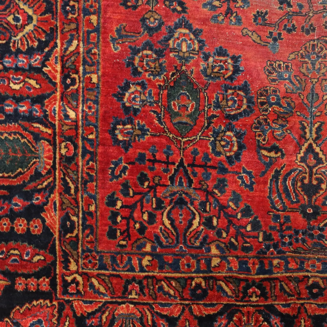 American Saruk Rug in Cotton and Wool - 360x262 cm