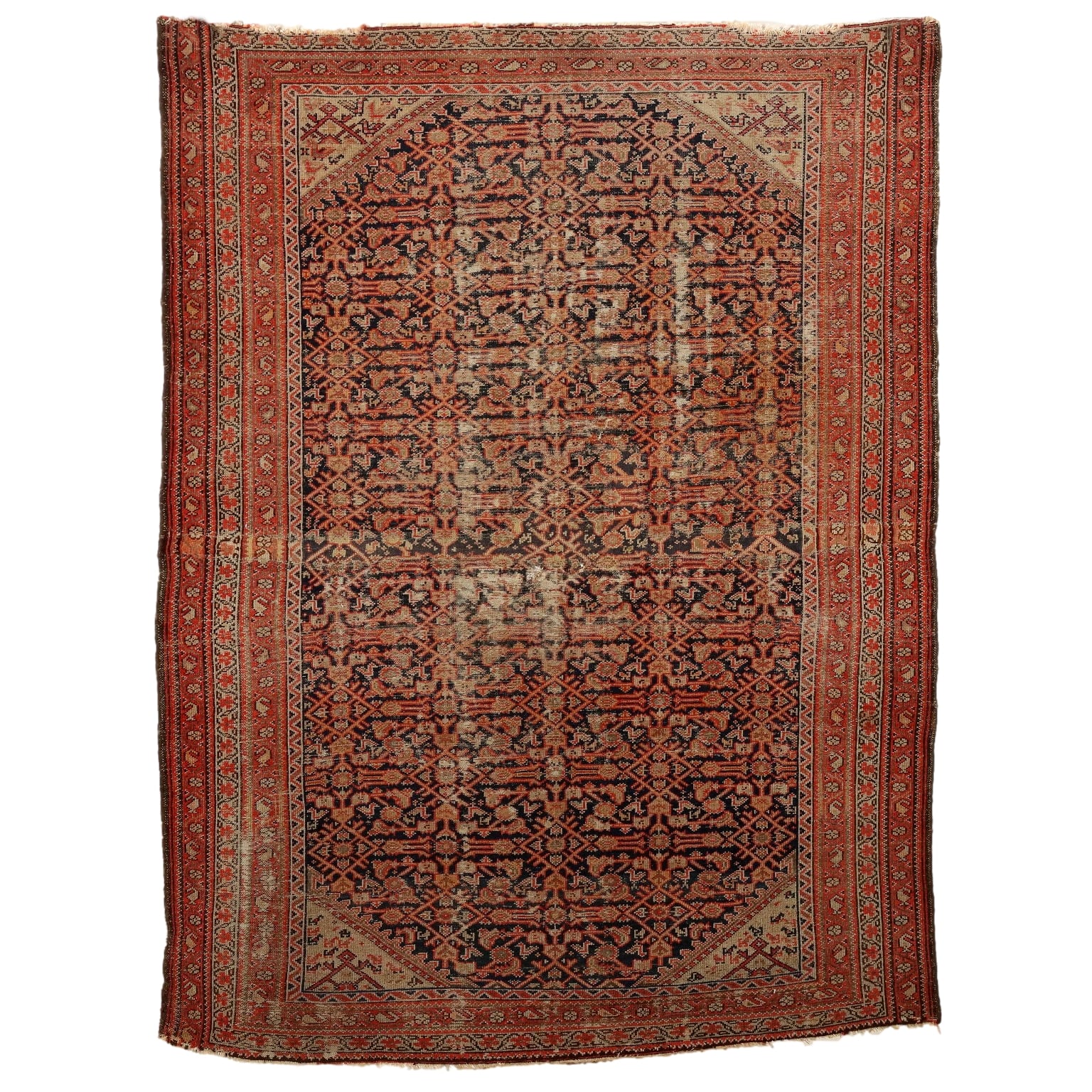  | Antiques  Carpets