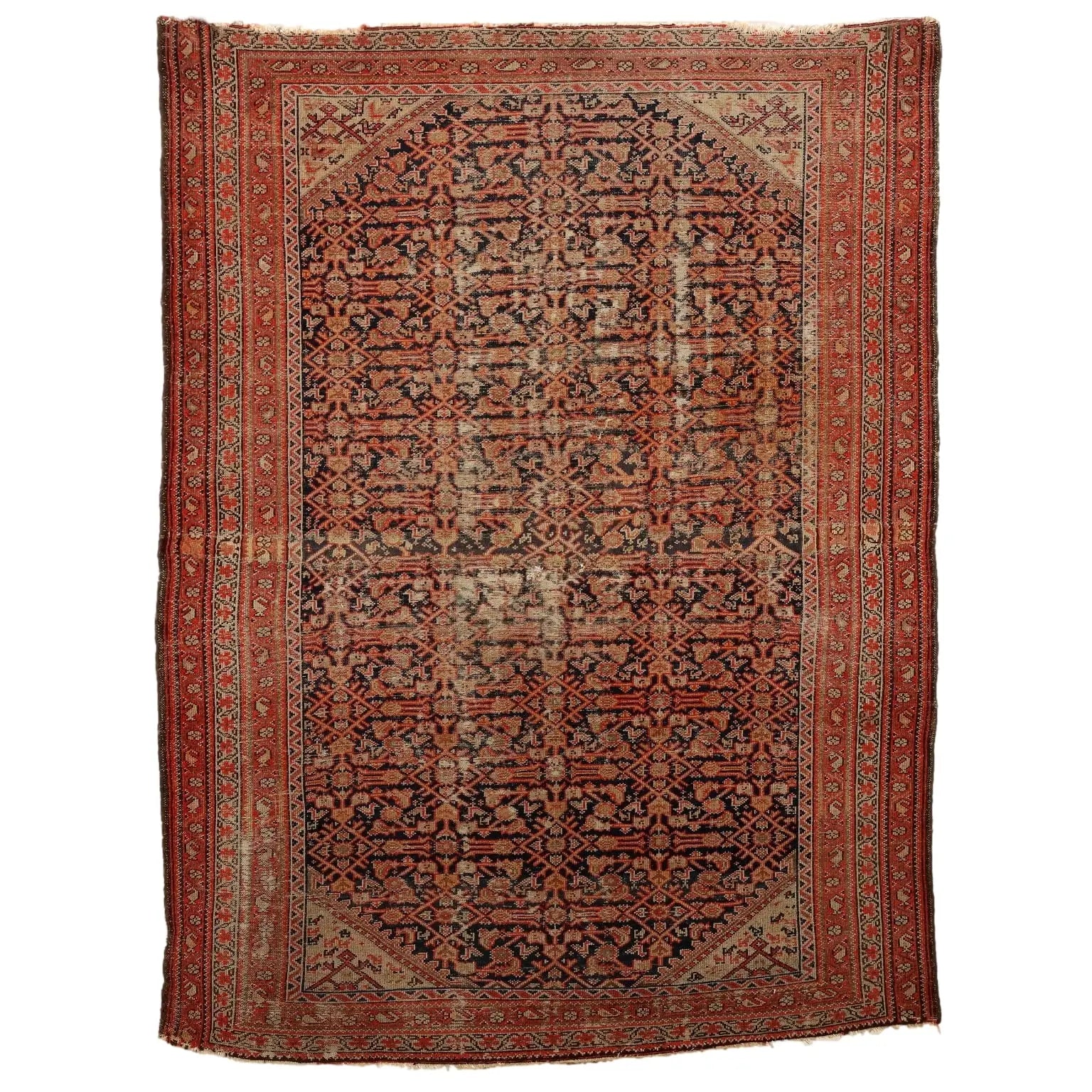 Malayer Rug in Cotton and Wool - 