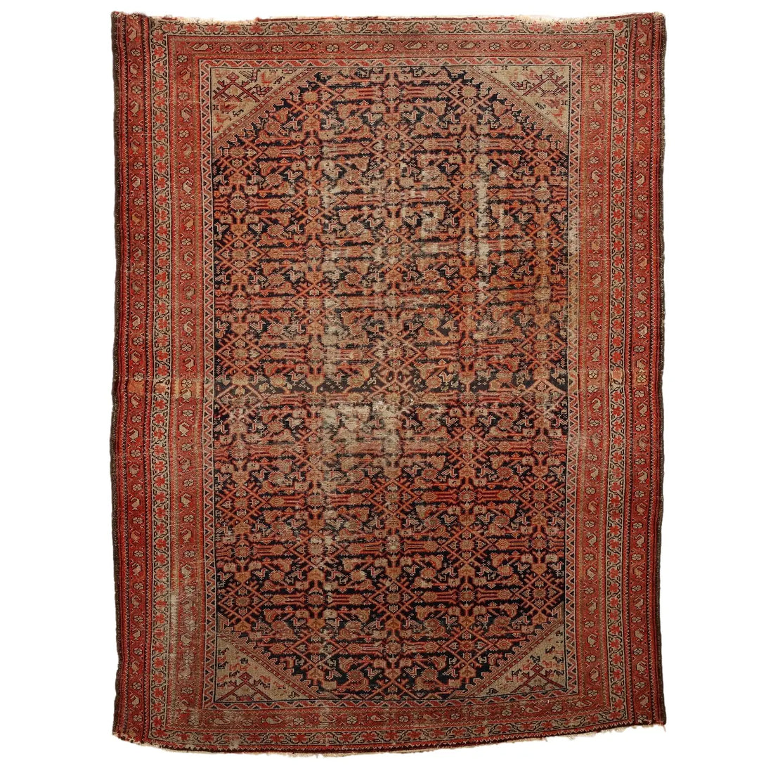 Malayer Rug in Cotton and Wool - 
