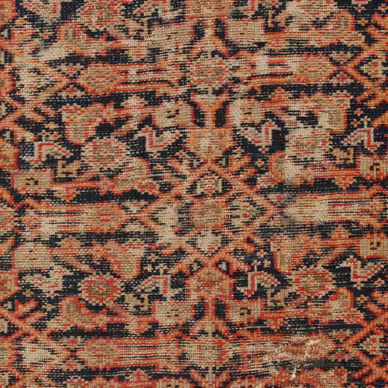Malayer Rug in Cotton and Wool - 