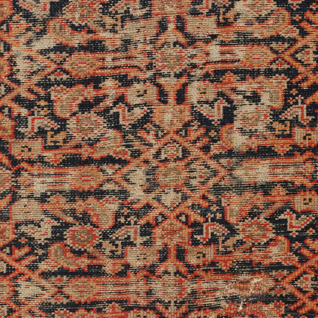 Malayer Rug in Cotton and Wool - 