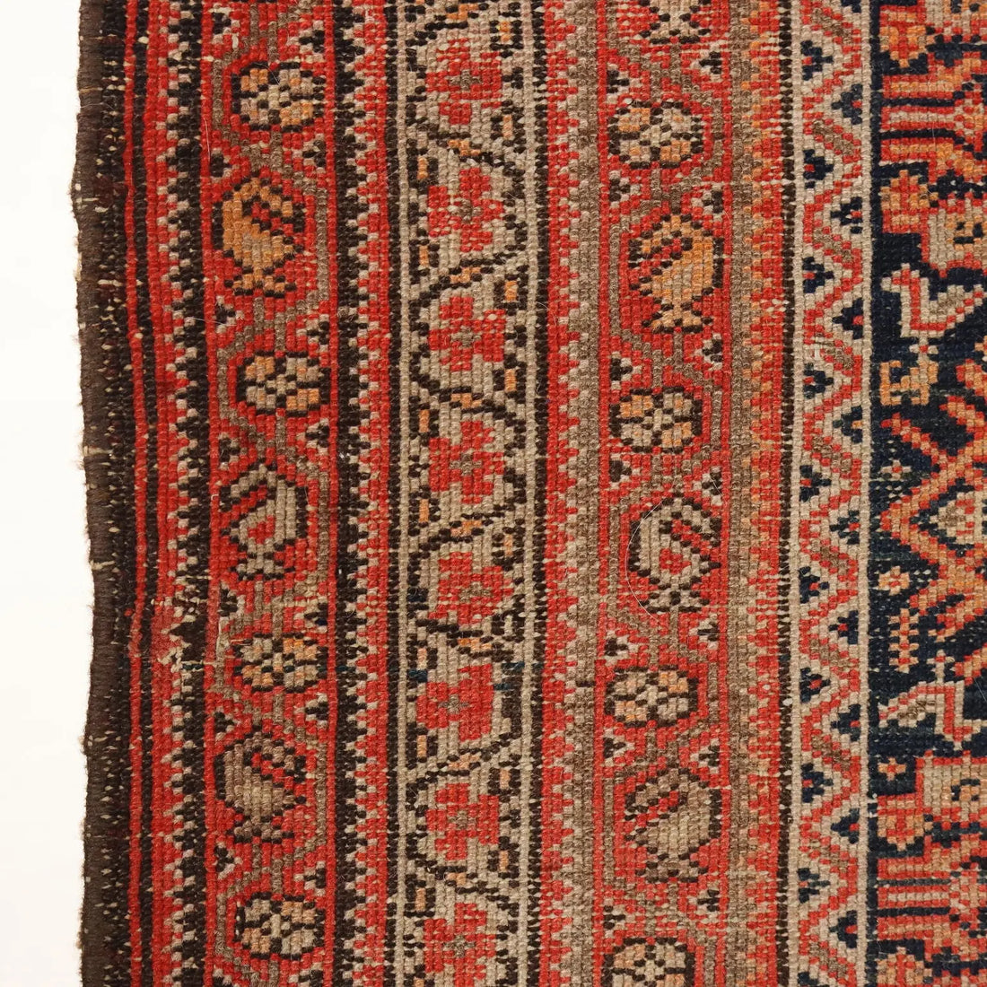 Malayer Rug in Cotton and Wool - 