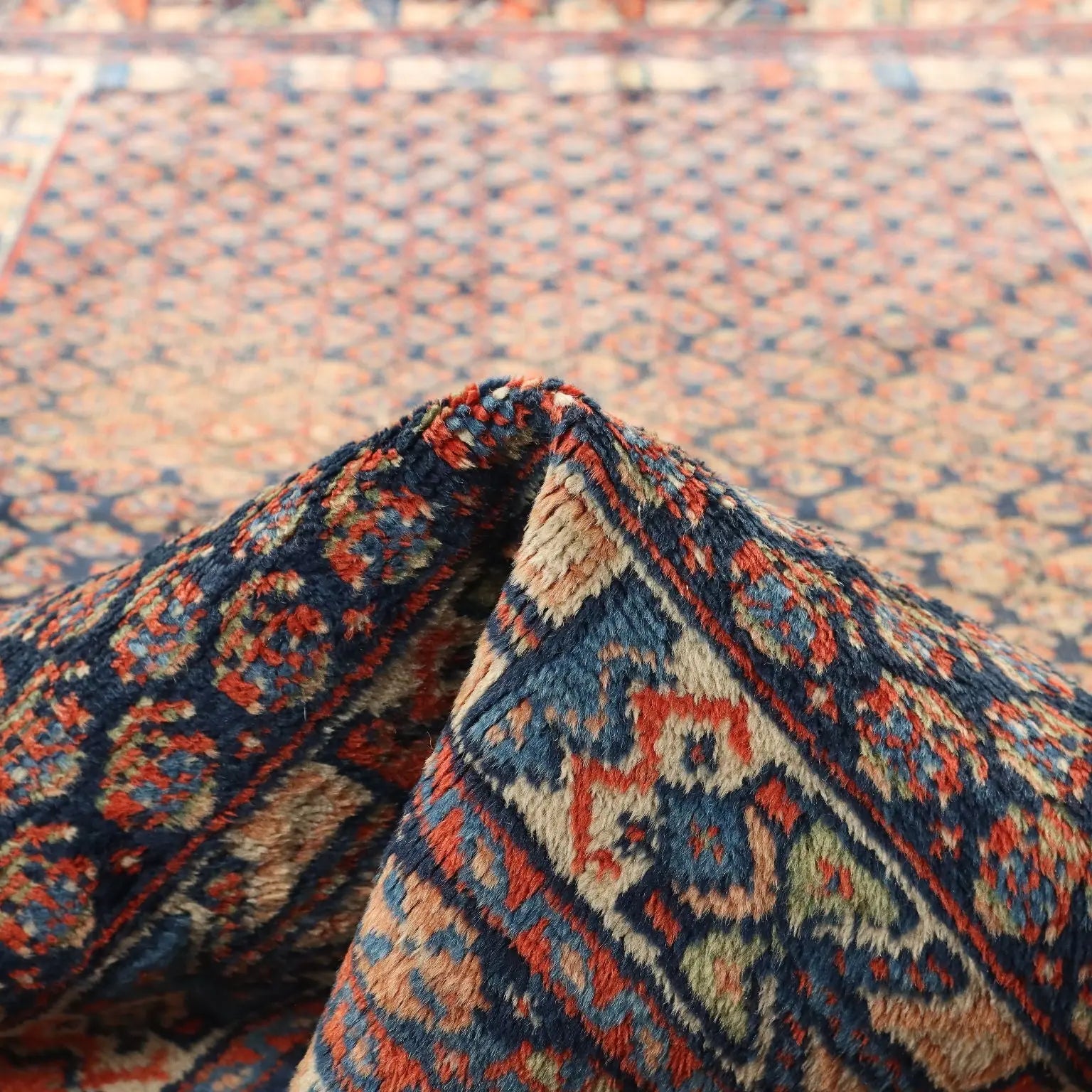 Afshar Wool Rug - Fine Knot 185 x 122 cm