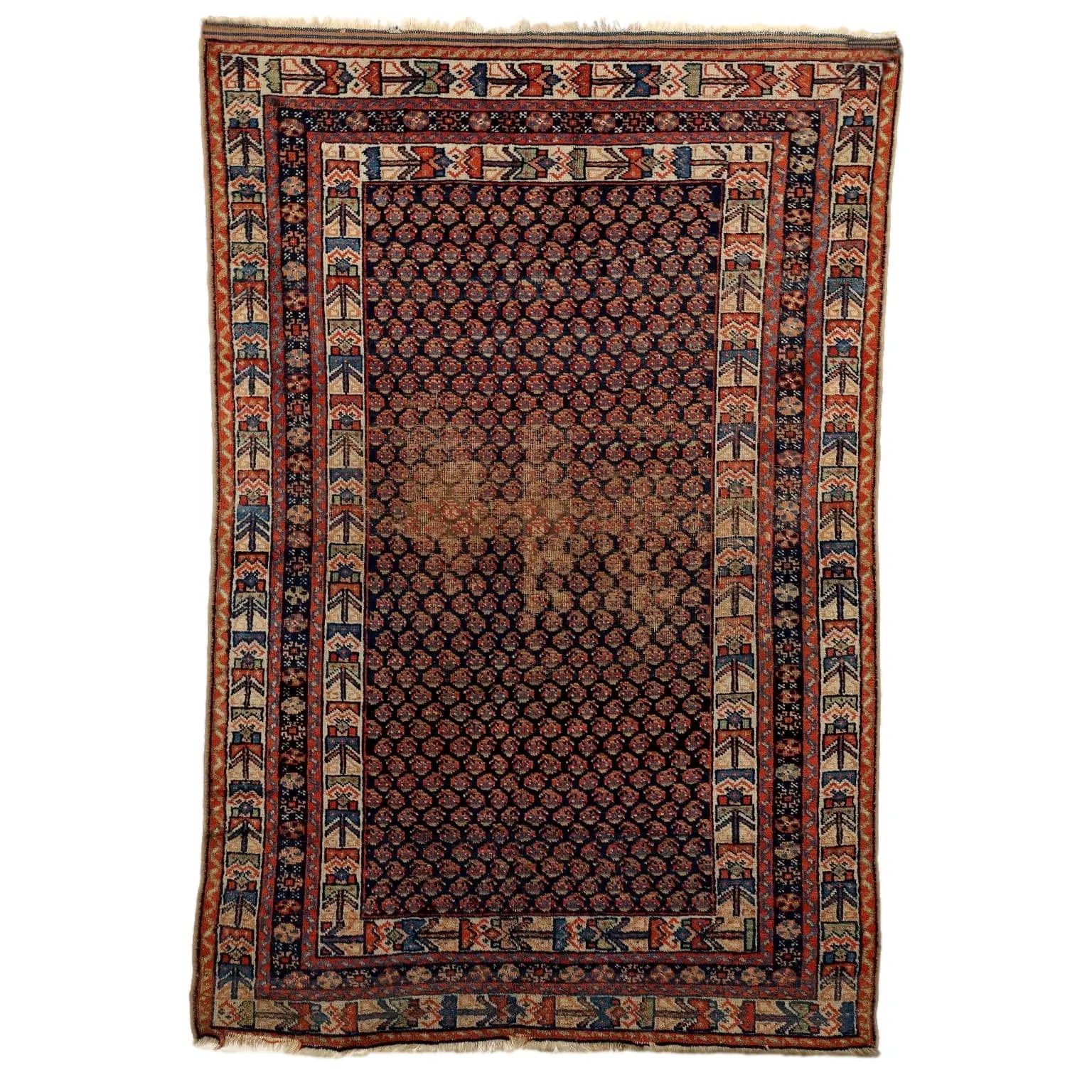 Afshar Wool Rug - Fine Knot 185 x 122 cm