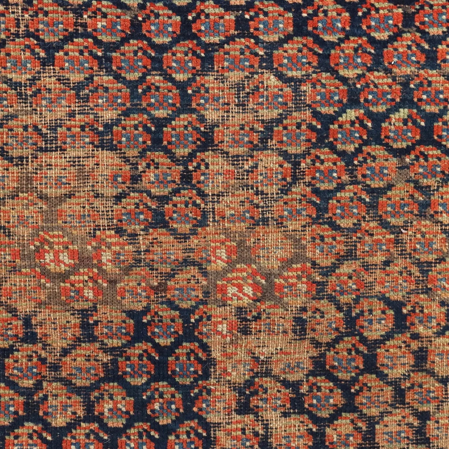 Afshar Wool Rug - Fine Knot 185 x 122 cm