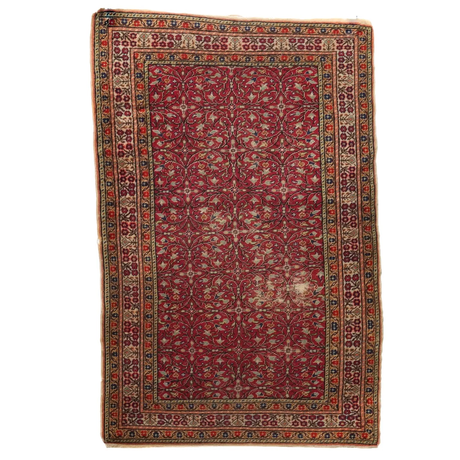 Kaisery Rug in Cotton and Wool - Turkey