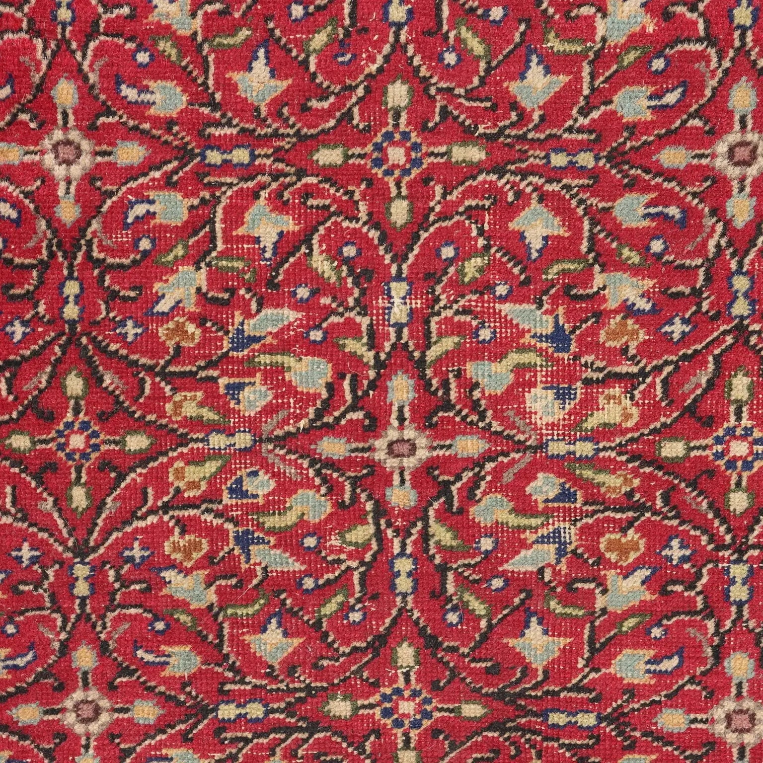 Kaisery Rug in Cotton and Wool - Turkey