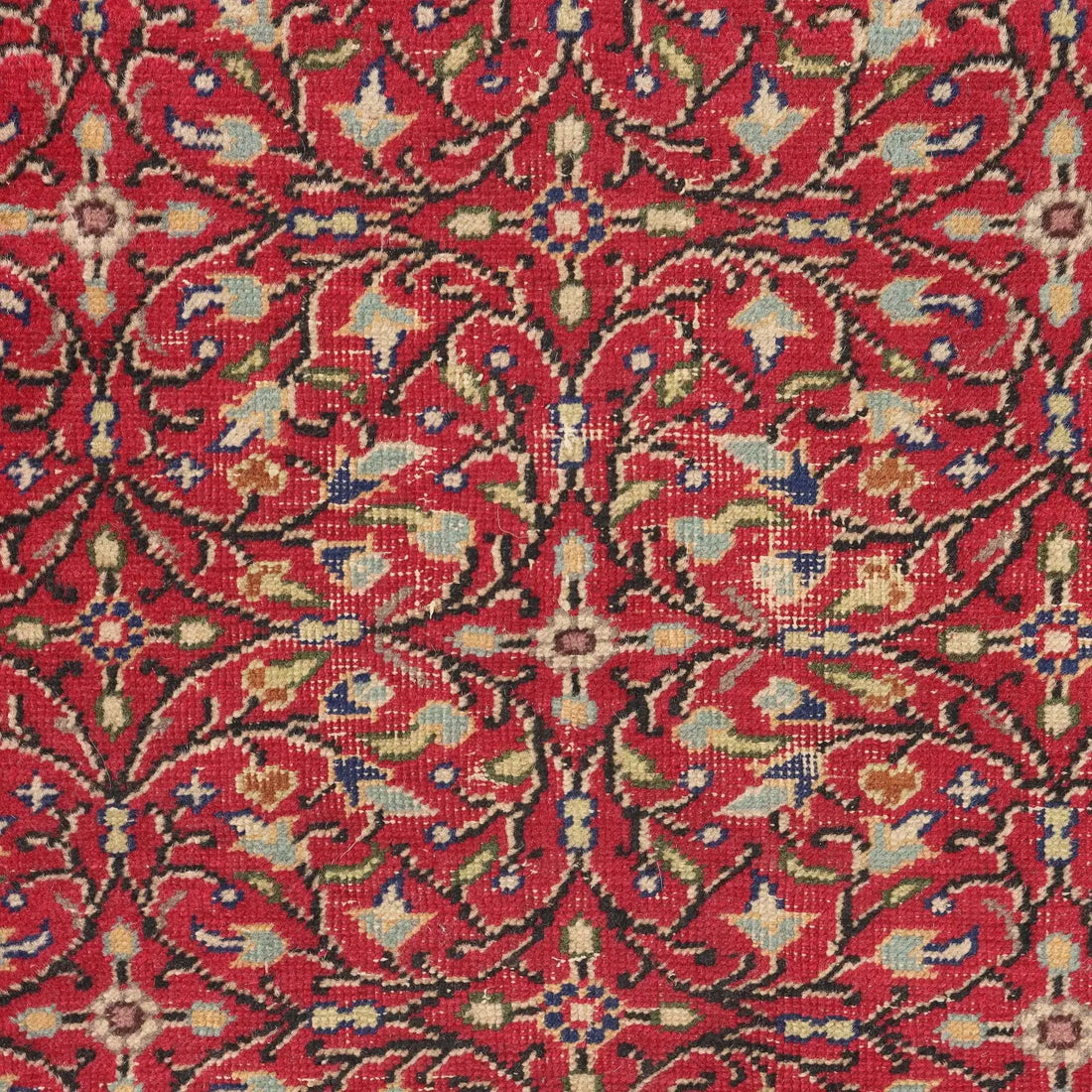 Kaisery Rug in Cotton and Wool - Turkey