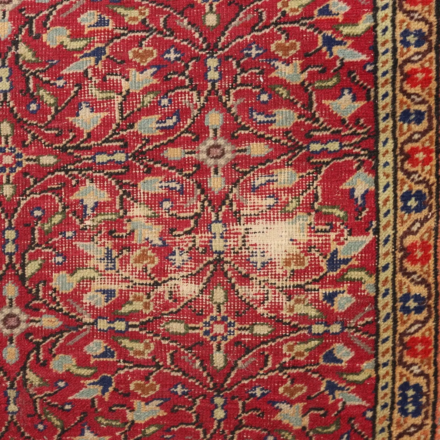 Kaisery Rug in Cotton and Wool - Turkey