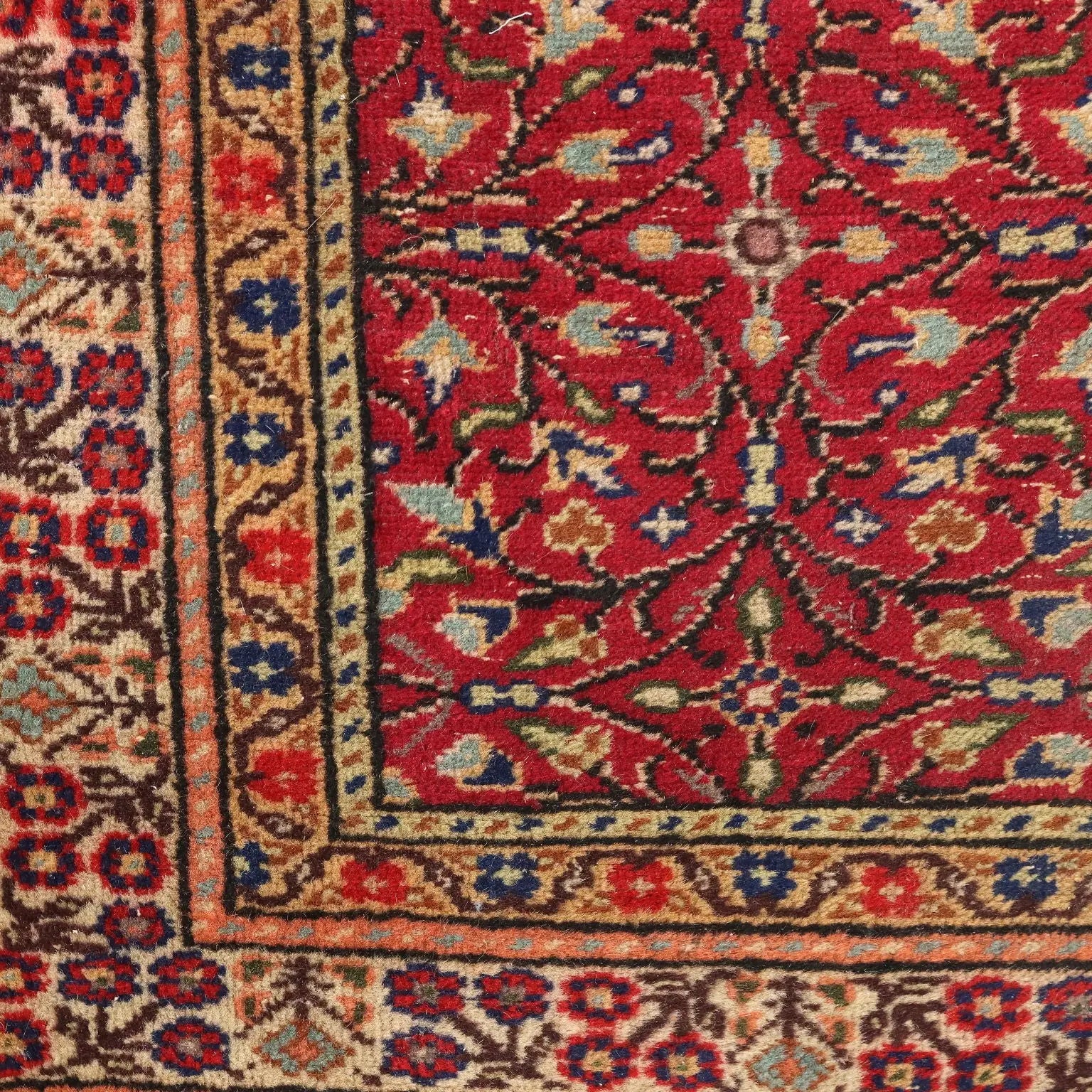 Kaisery Rug in Cotton and Wool - Turkey