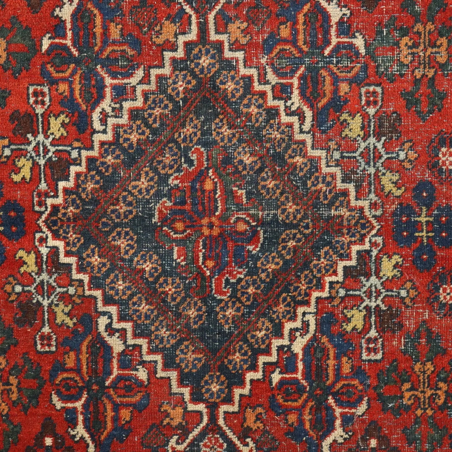 Joshagan Rug in Cotton and Wool - 