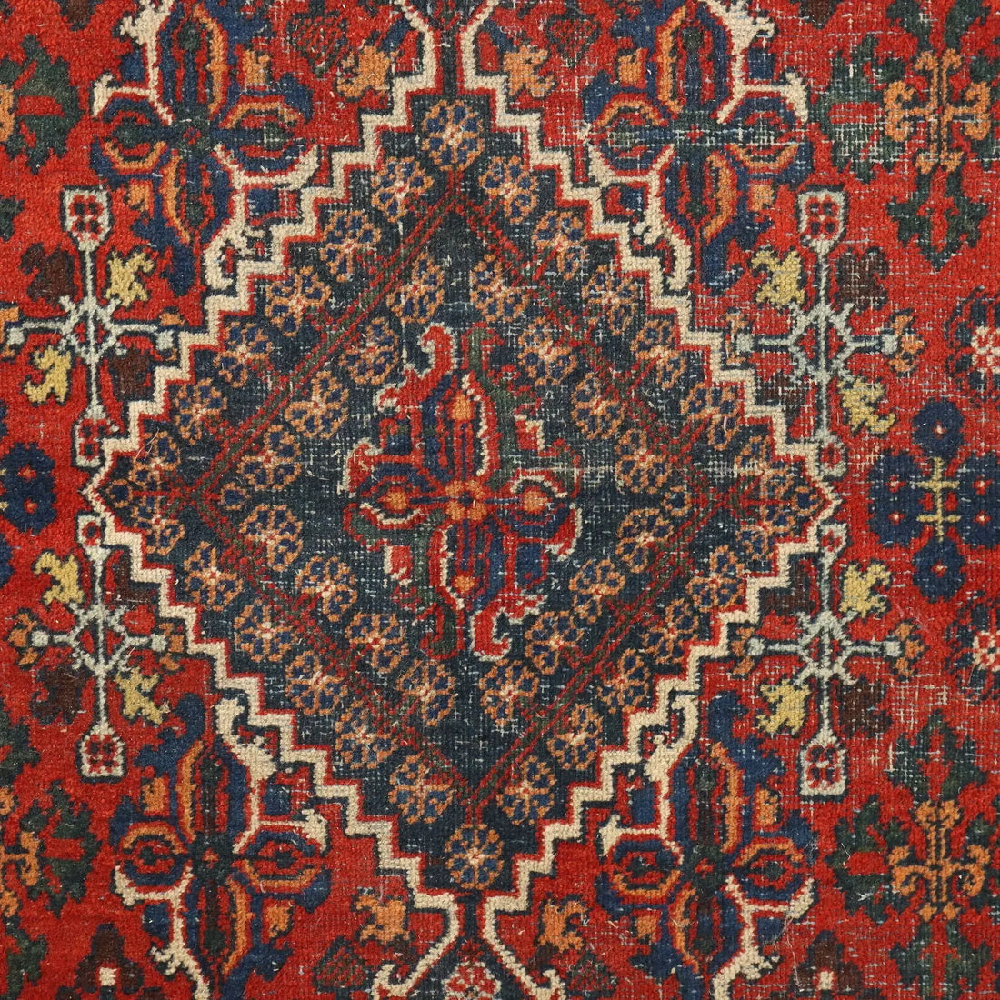 Joshagan Rug in Cotton and Wool - 