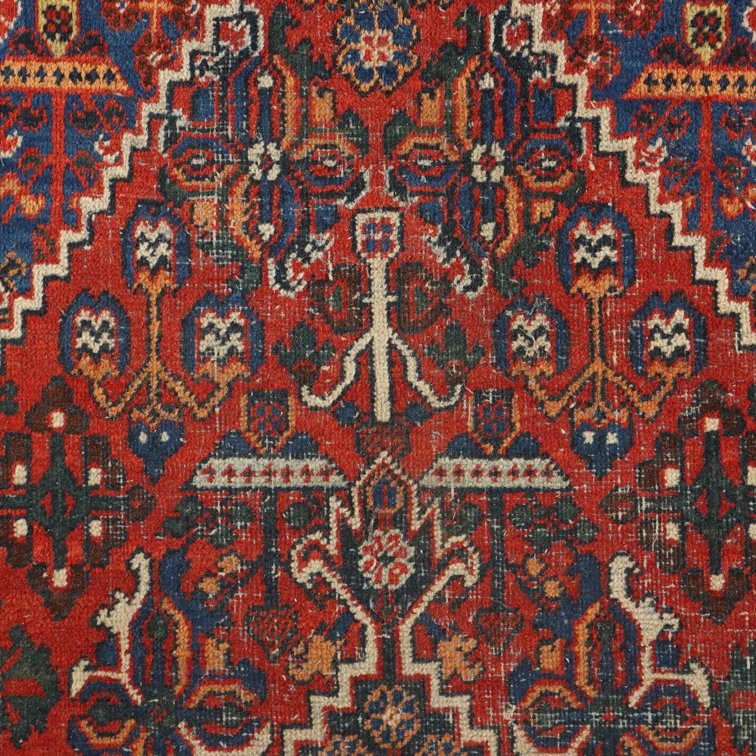 Joshagan Rug in Cotton and Wool - 