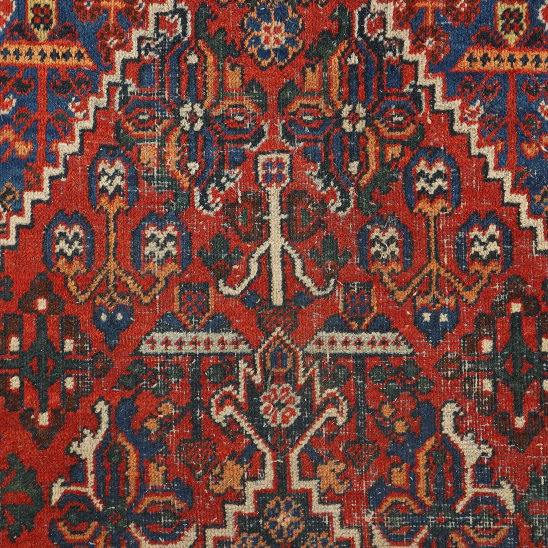 Joshagan Rug in Cotton and Wool - 